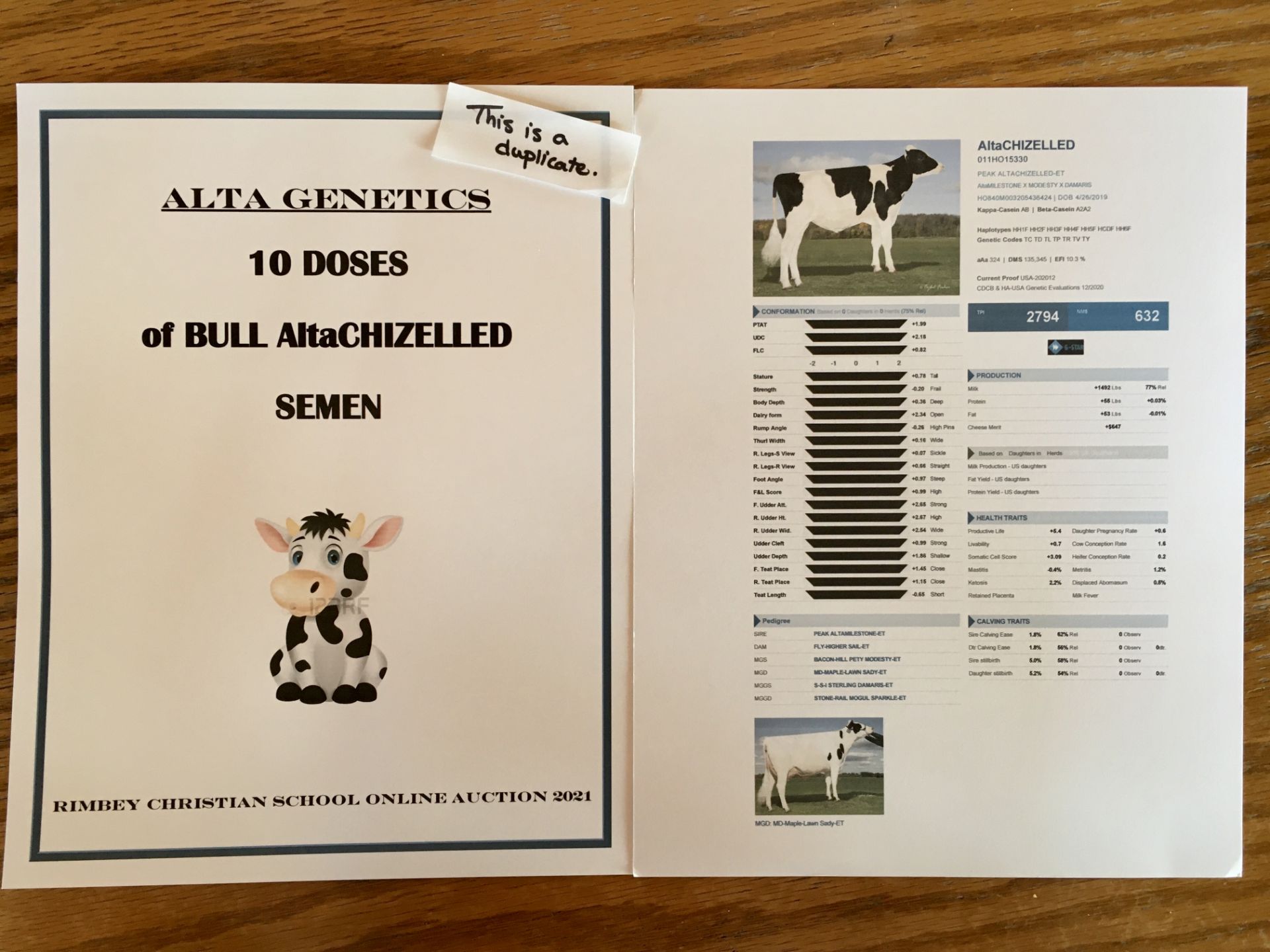 ALTA GENETICS GIFT CERTIFICATE: 10 DOSES OF 'AltaCHIZELLED' BULL SEMEN altaChizelled was born