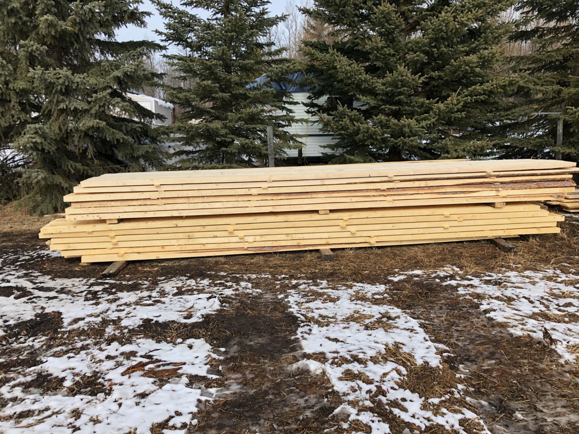 Spruce - Rough Cut Lumber - 48 rough cut spruce 2"x8"x16" planks. Approx 1000 board feet. Pickup