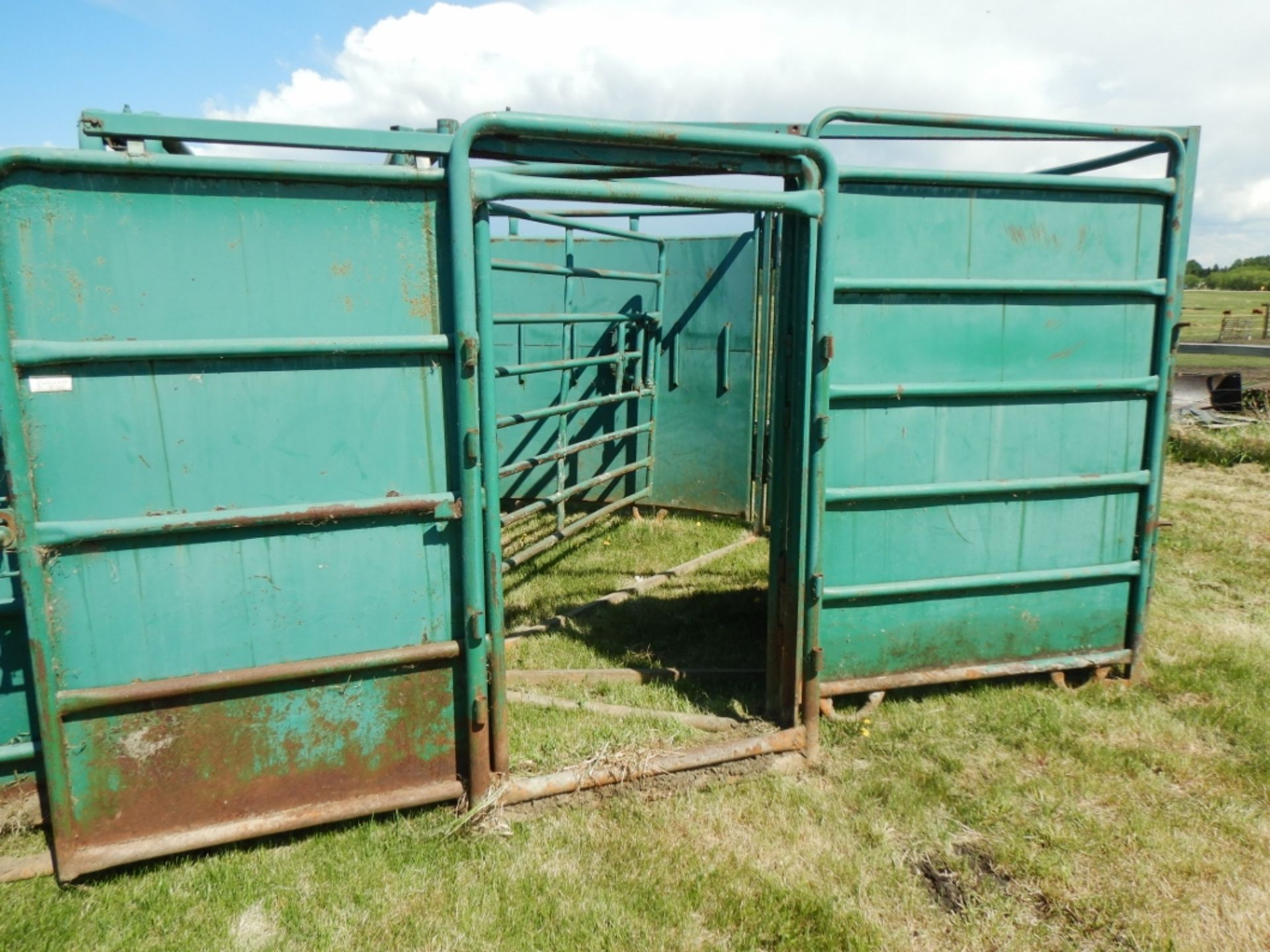 MORAND BUFFALO CROWDING TUB & ROLLING ALLEY GATE & TRIANGLE FRAME - Image 4 of 6