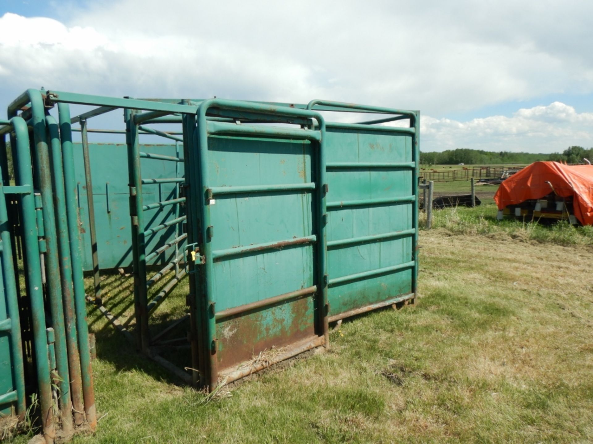 MORAND BUFFALO CROWDING TUB & ROLLING ALLEY GATE & TRIANGLE FRAME