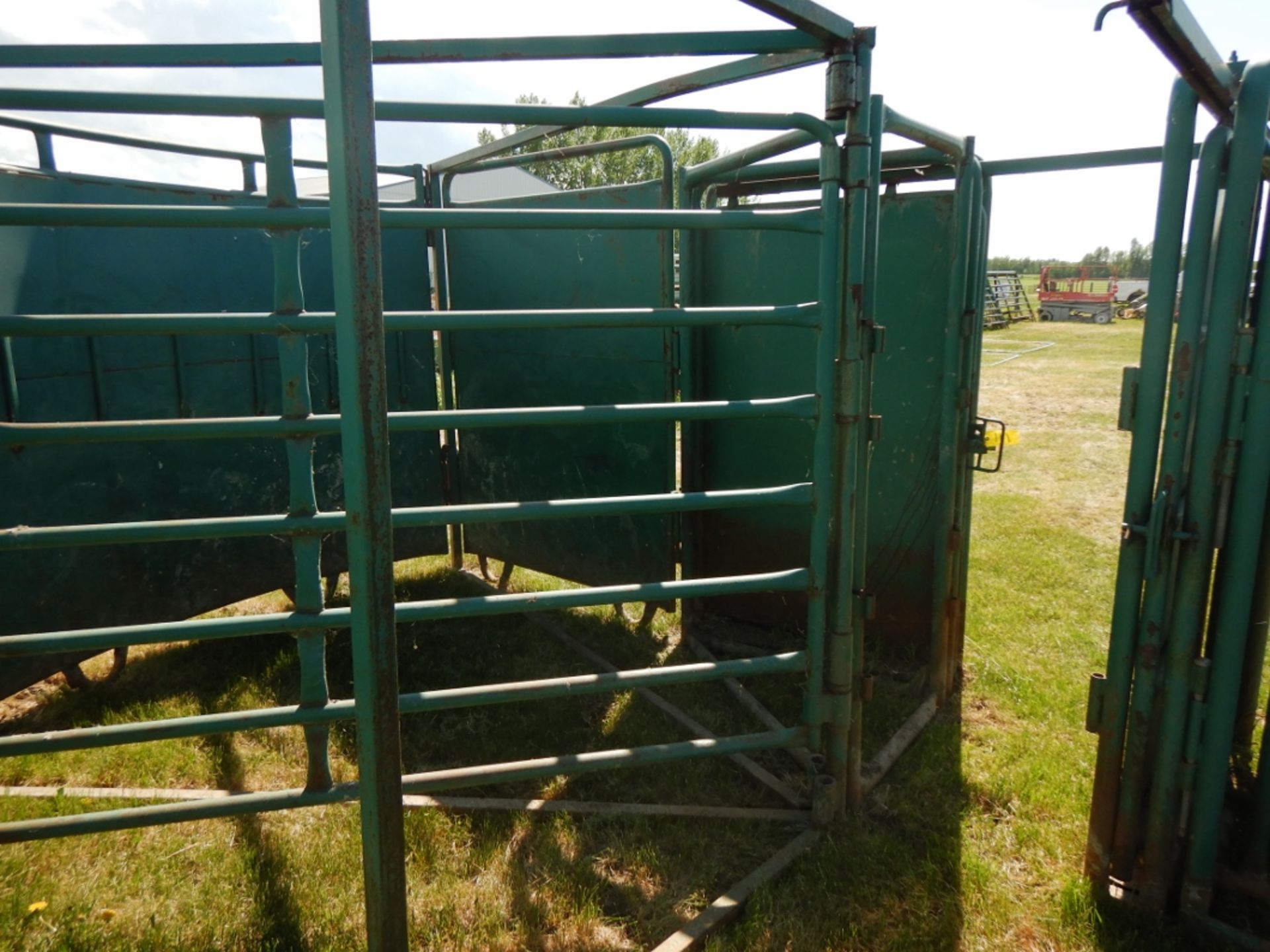 MORAND BUFFALO CROWDING TUB & ROLLING ALLEY GATE & TRIANGLE FRAME - Image 3 of 6