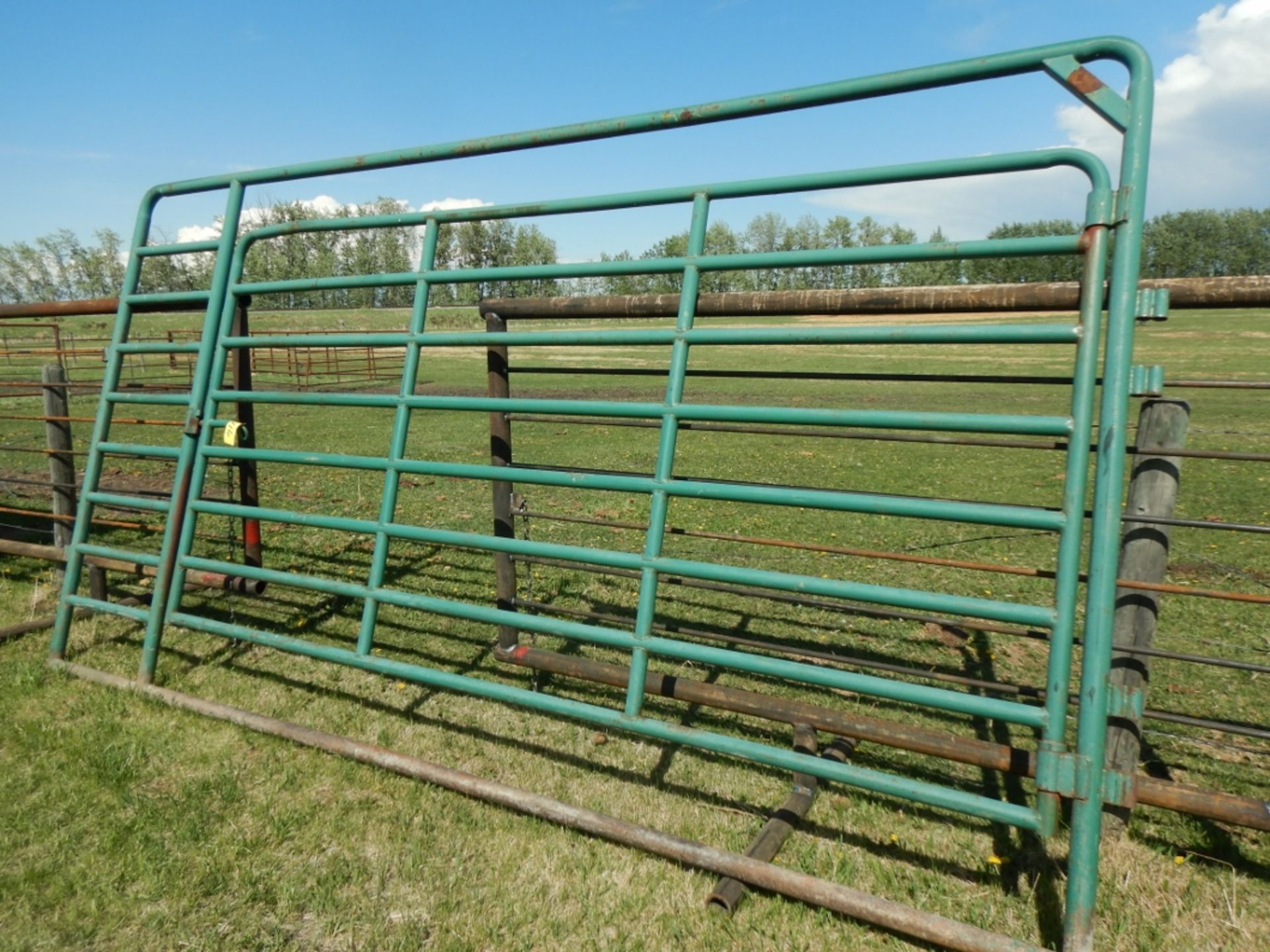 MORAND 14 FT HD BUFFALO PANEL W/12 FT FRAME GATE