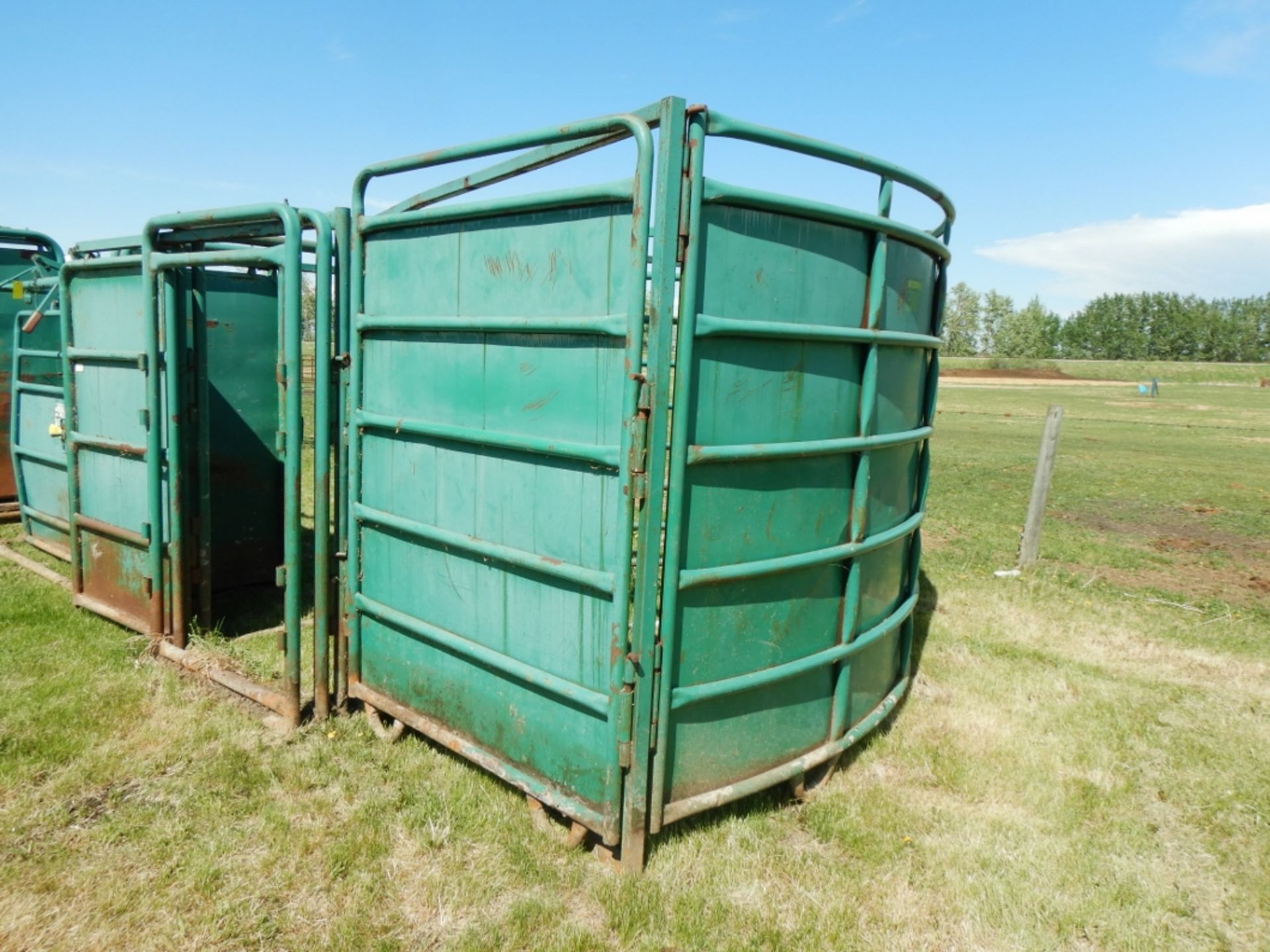 MORAND BUFFALO CROWDING TUB & ROLLING ALLEY GATE & TRIANGLE FRAME - Image 5 of 6