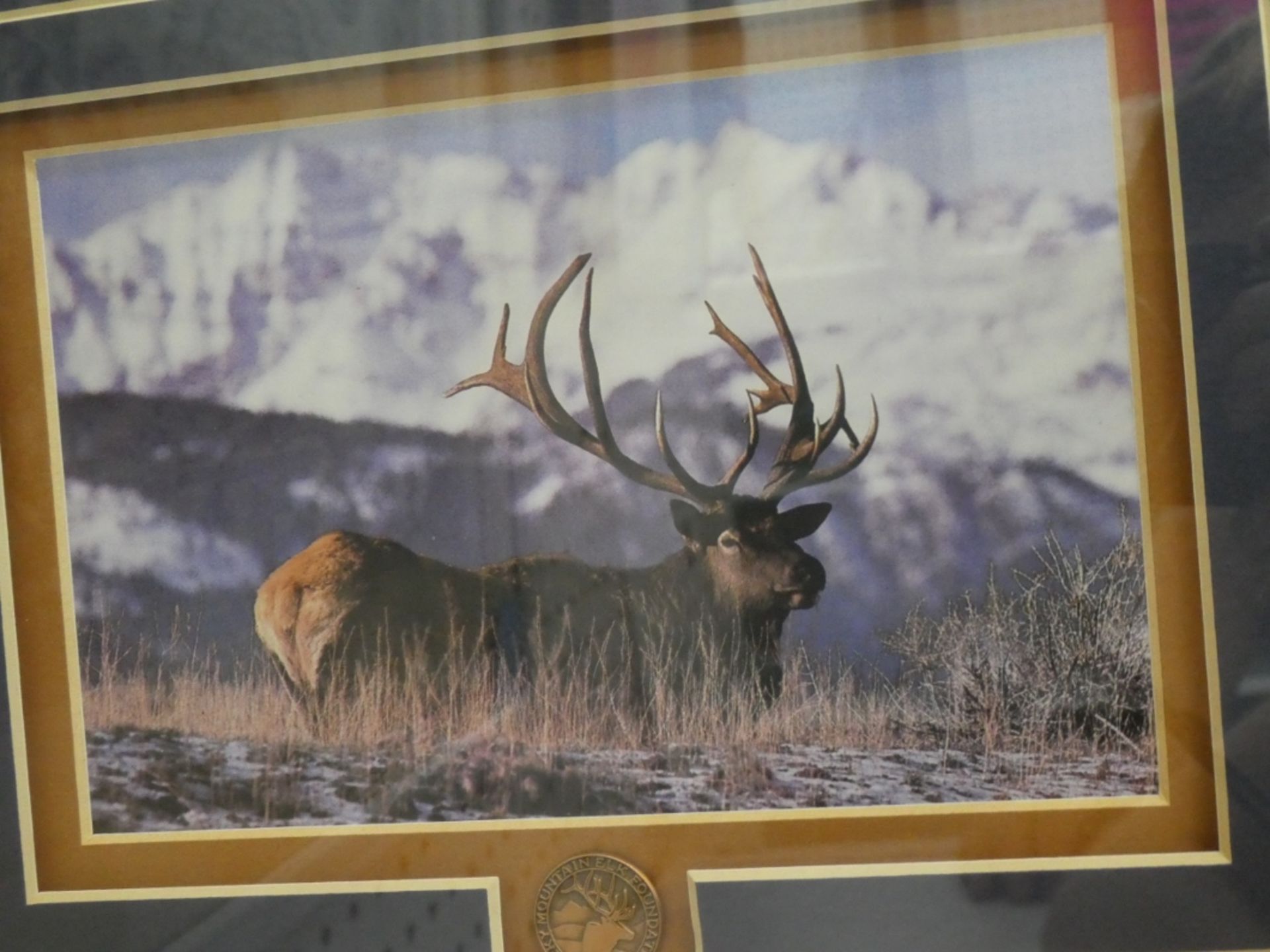 THE ALAMO PRINT, ELK PRINT - Image 2 of 2