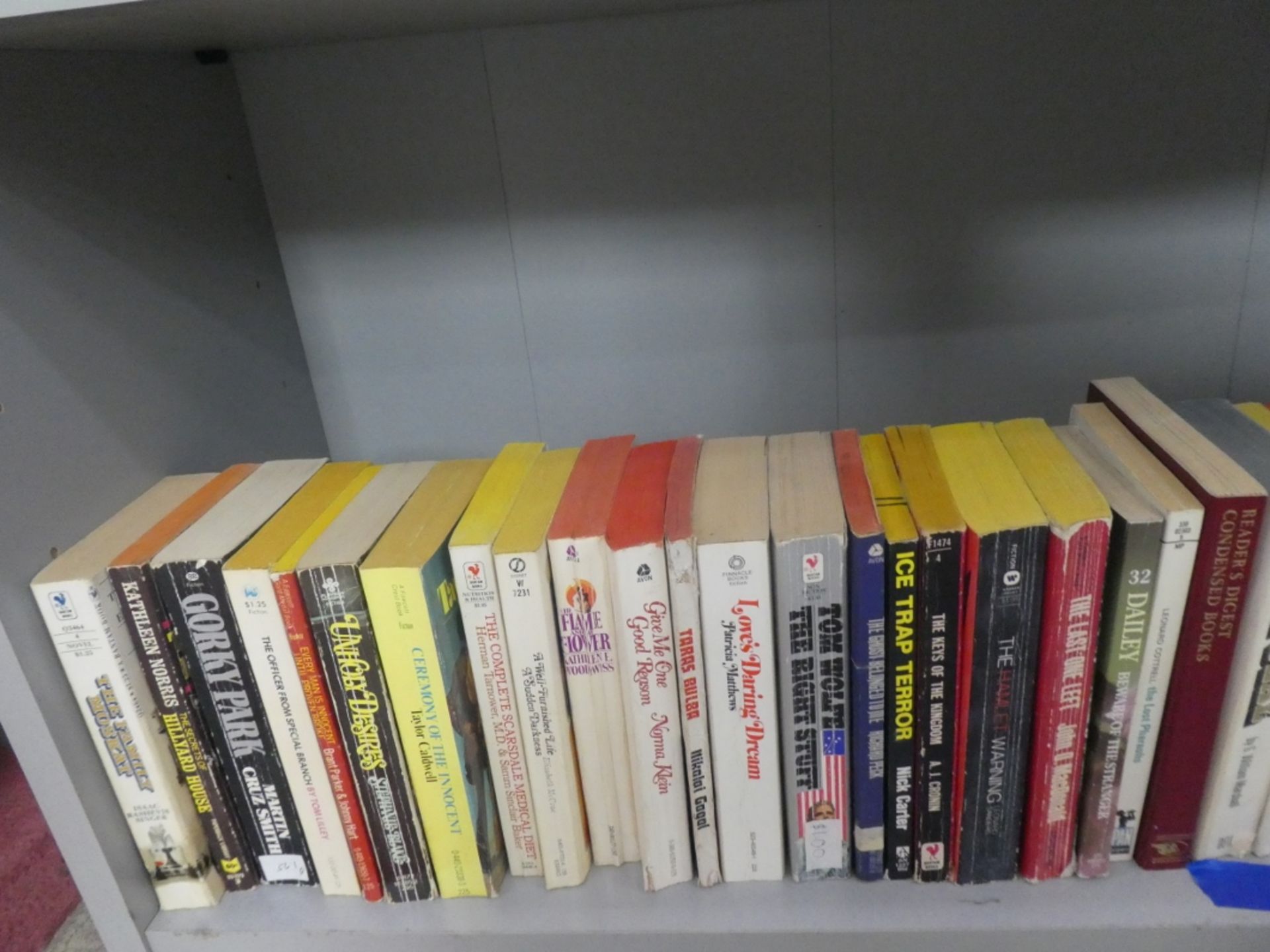 SHELF OF PAPERBACK BOOKS