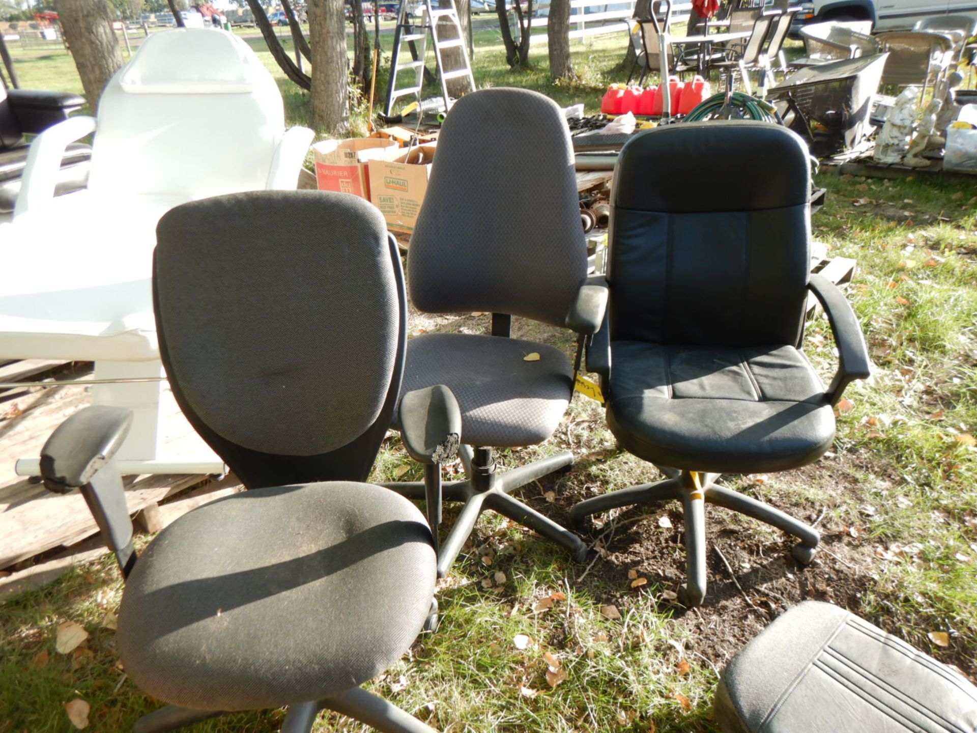 3-OFFICE TASK CHAIRS