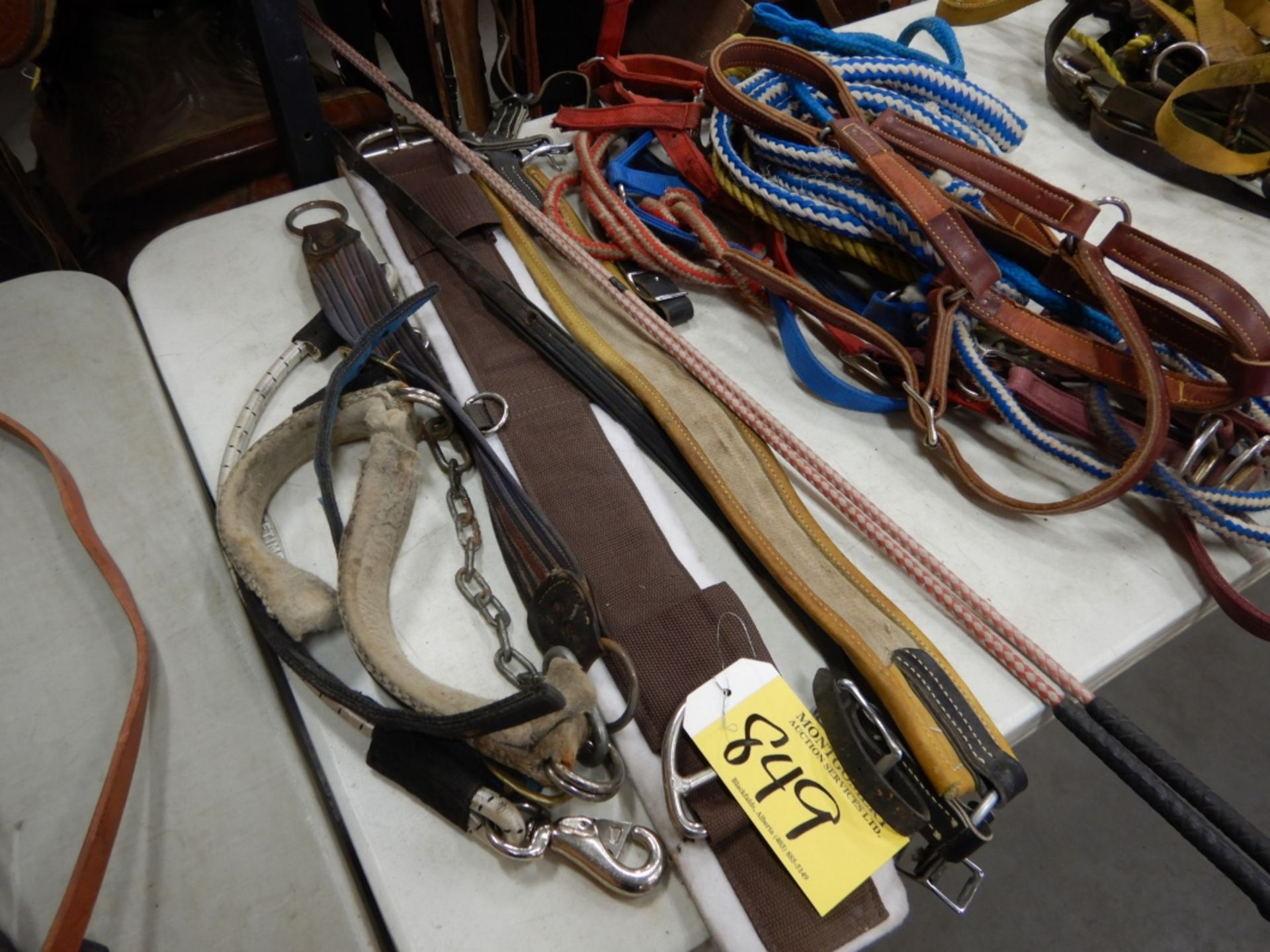 CINCHES, HALTERS, MISC TACK