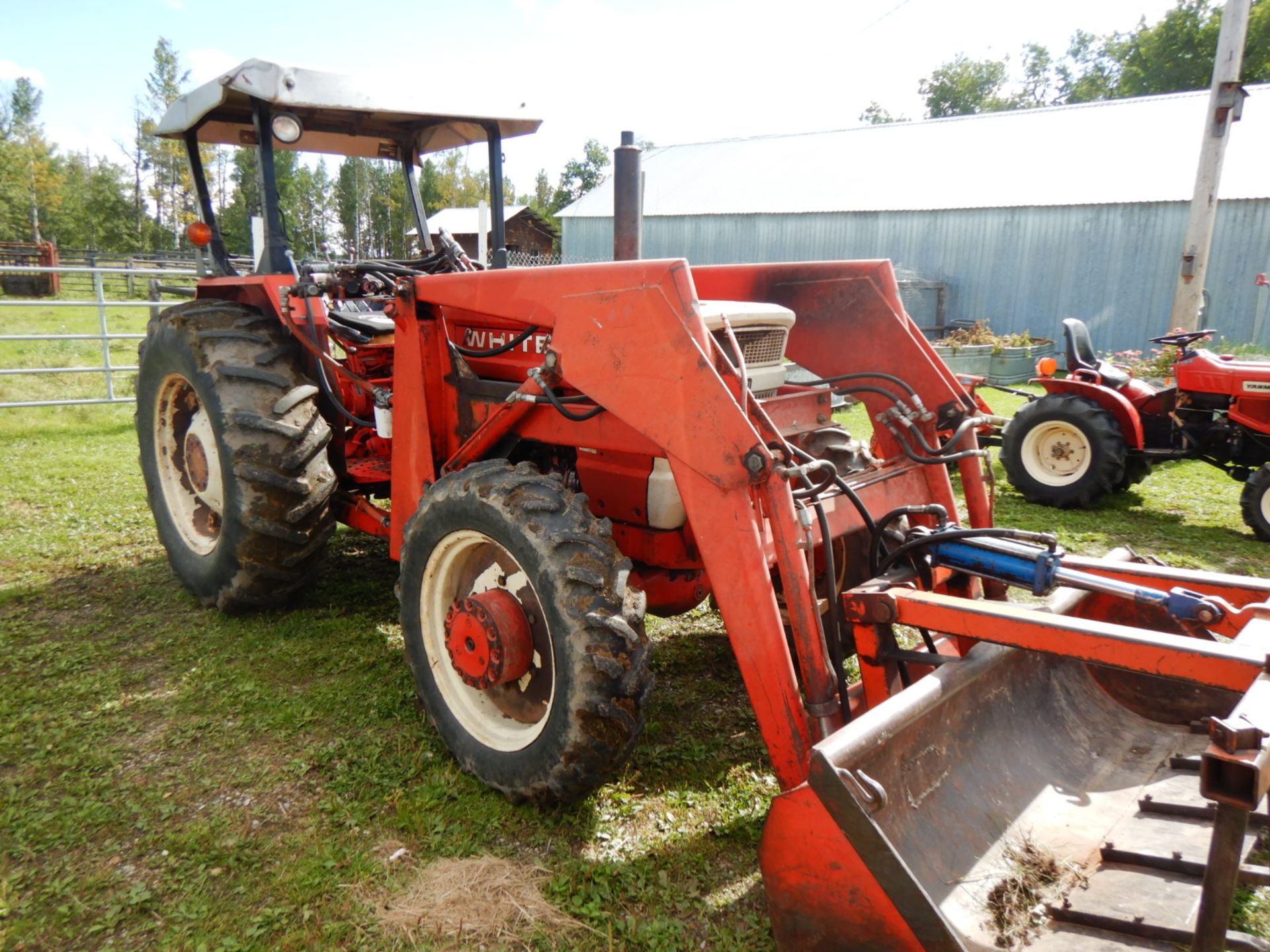 WHITE 1370 FWD DIESEL 54 HP A TRACTOR W/ CANOPY 3 PT, FEL & GRAPPLE 5328 HRS S/N 774963 - Image 4 of 5