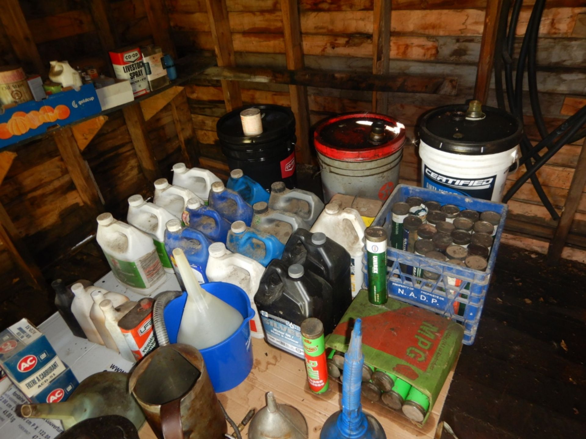 CONTENTS OF BUILDING INCLUDING OIL, GREASE, WWA, ANTIFREEZE, JERRY CANS, OILFILTERS, GREASE GUN, - Image 5 of 6