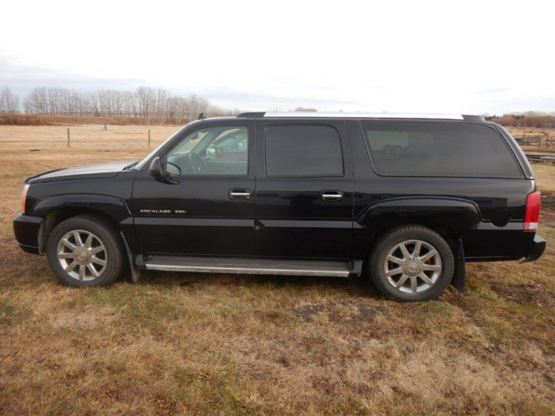 2006 CADILLAC ESCALADE ESV PLATINUM XL V8 AWD SUV, 161,625 KM’S, 3RD ROW SEATING, LEATHER, - Image 5 of 12