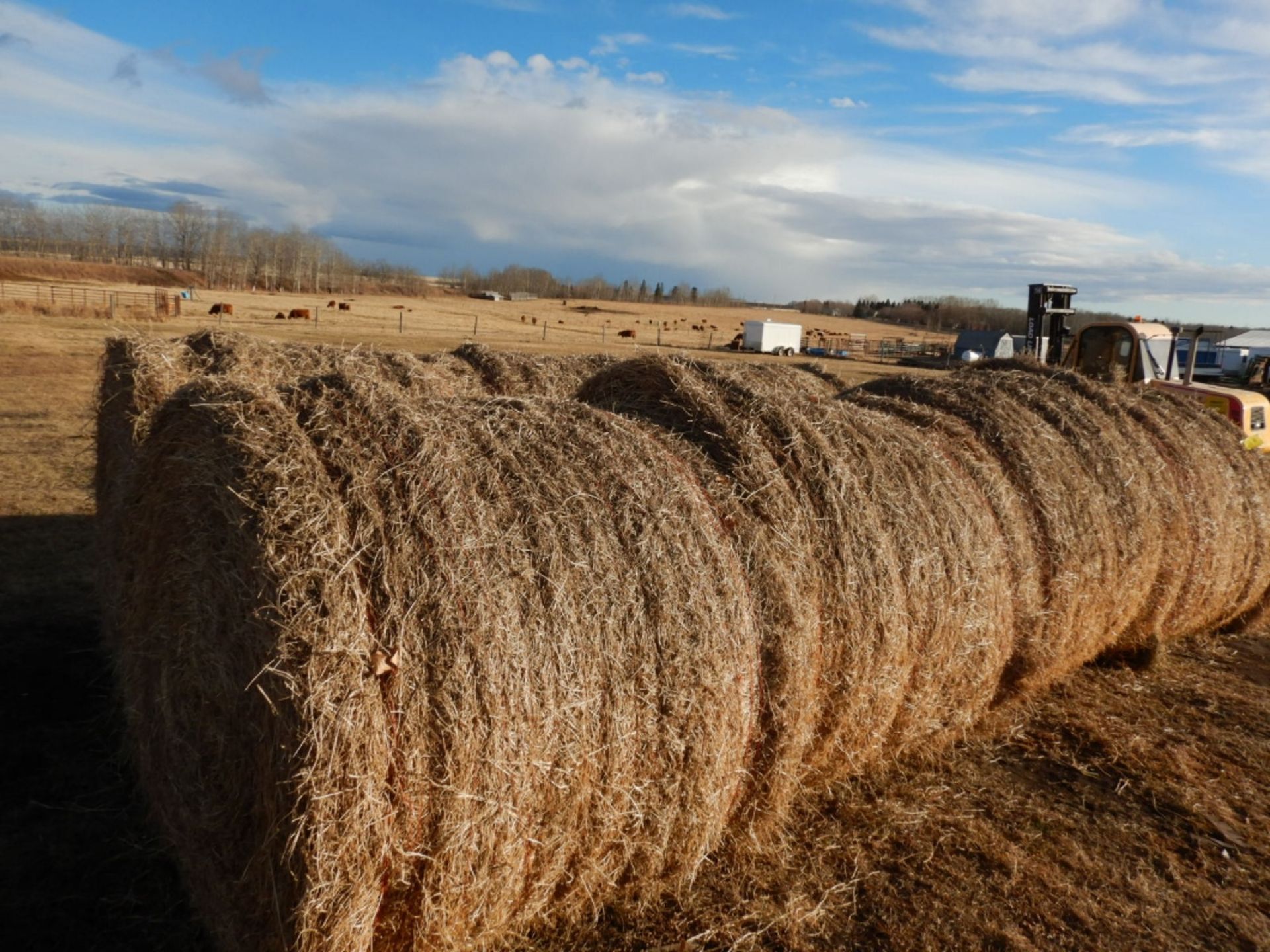 8-LARGE ROUND BALES OF 2ND CUT 2021 HAY - 1,500LB +/- ALFALFA/ORCHARD GRASS - NO RAIN (BEING SOLD - Image 2 of 3