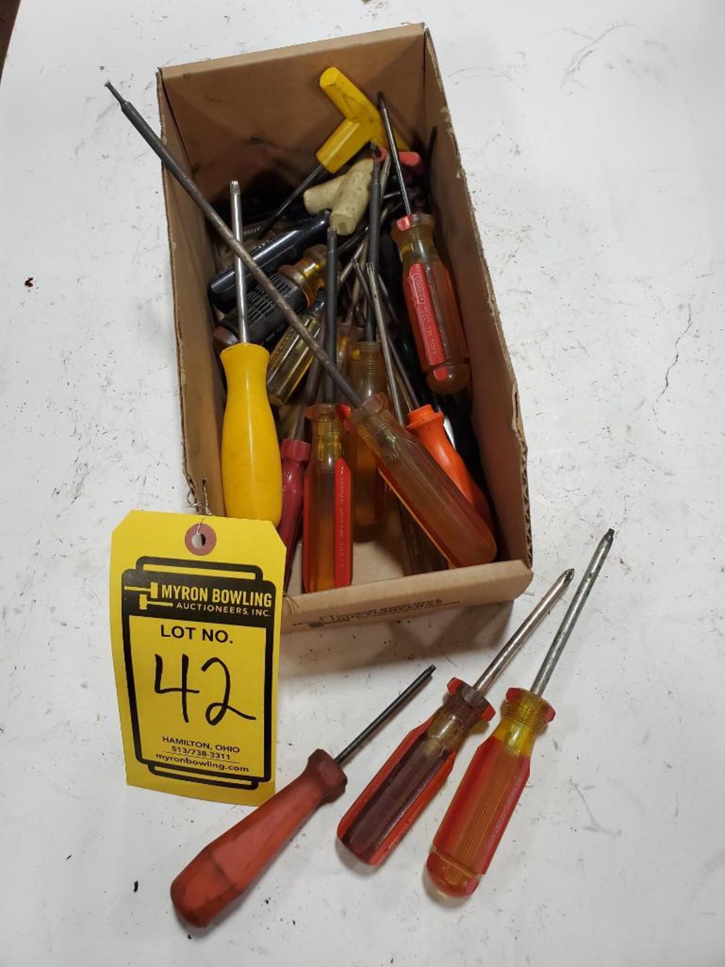 LOT OF ASSORTED TORX SCREWDRIVERS