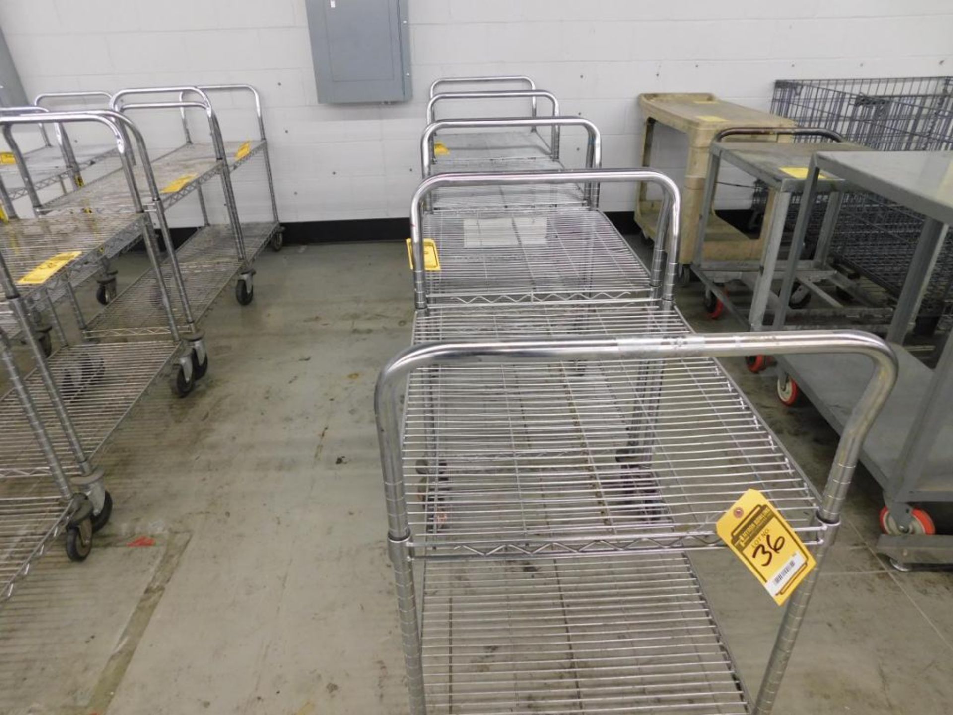 (17) ASSORTED SIZE METRO CARTS