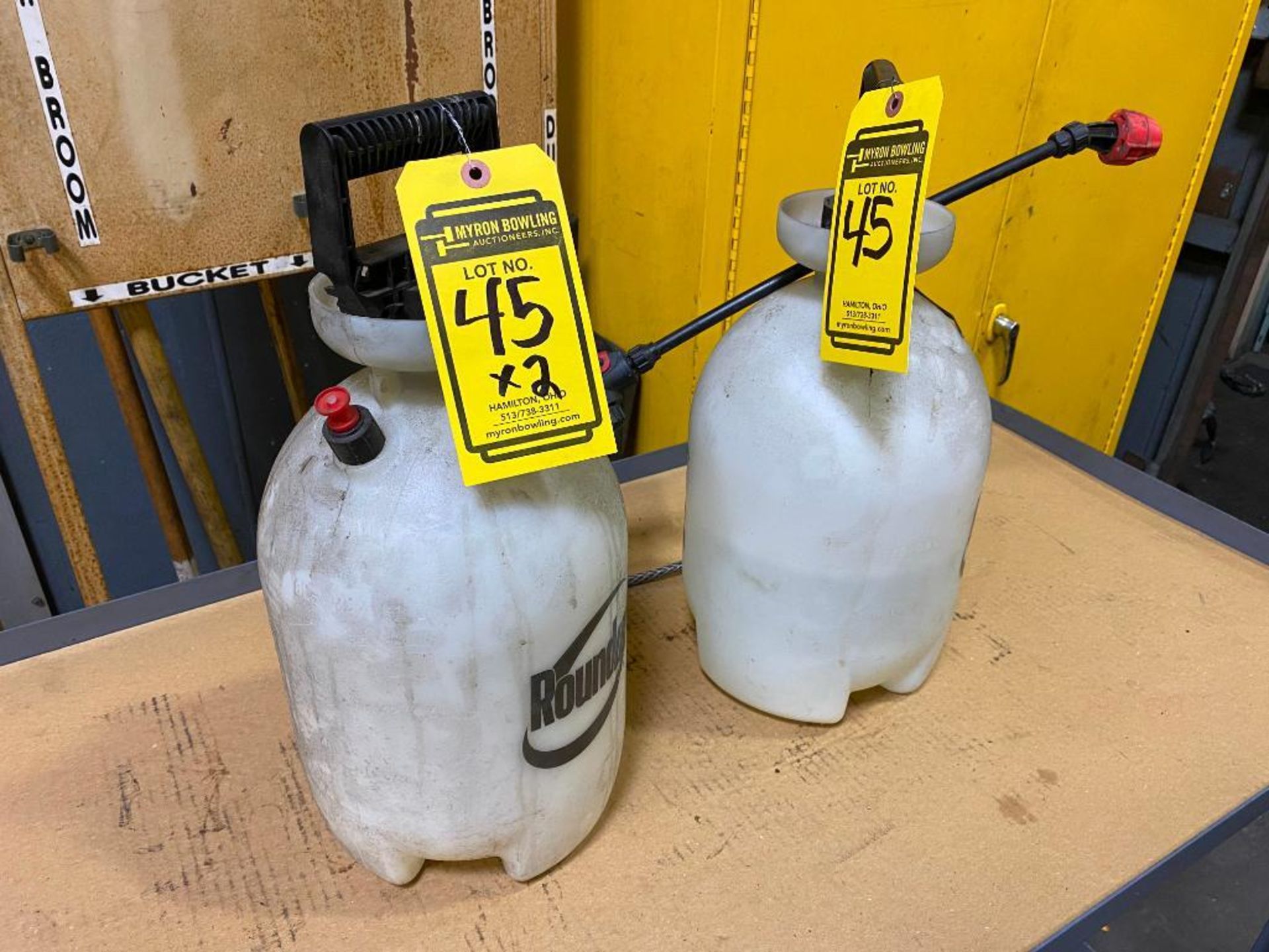 (2) 2-GAL. HAND PUMP SPRAYERS