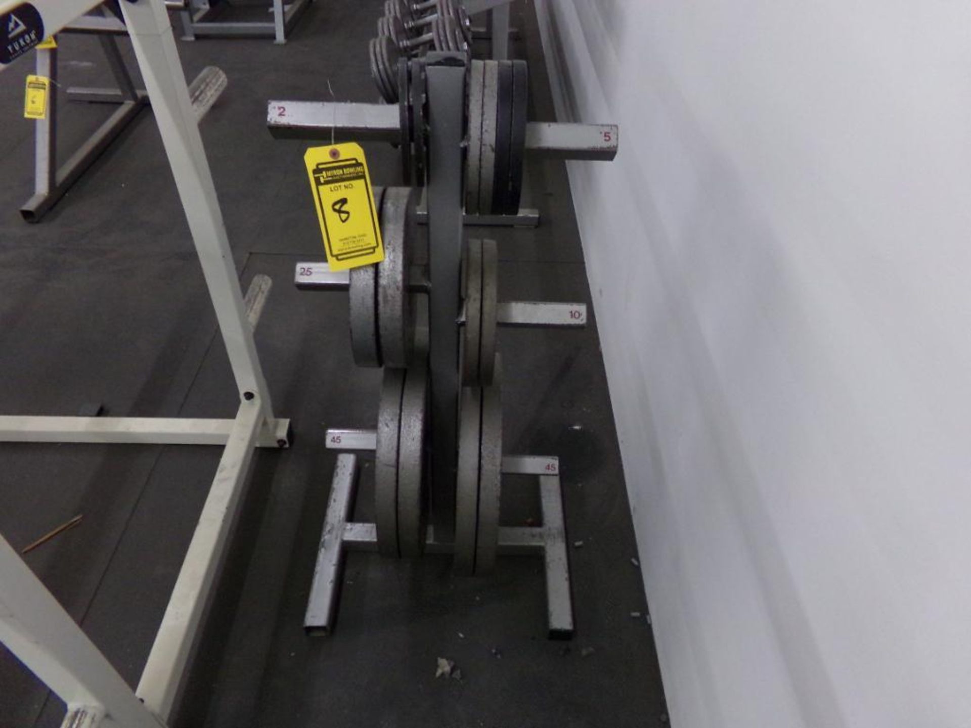 WEIGHT RACK W/ WEIGHTS: (2) 2.5 LB., (4) 5 LB., (2) 10 LB., (2) 25 LB., (4) 45 LB.