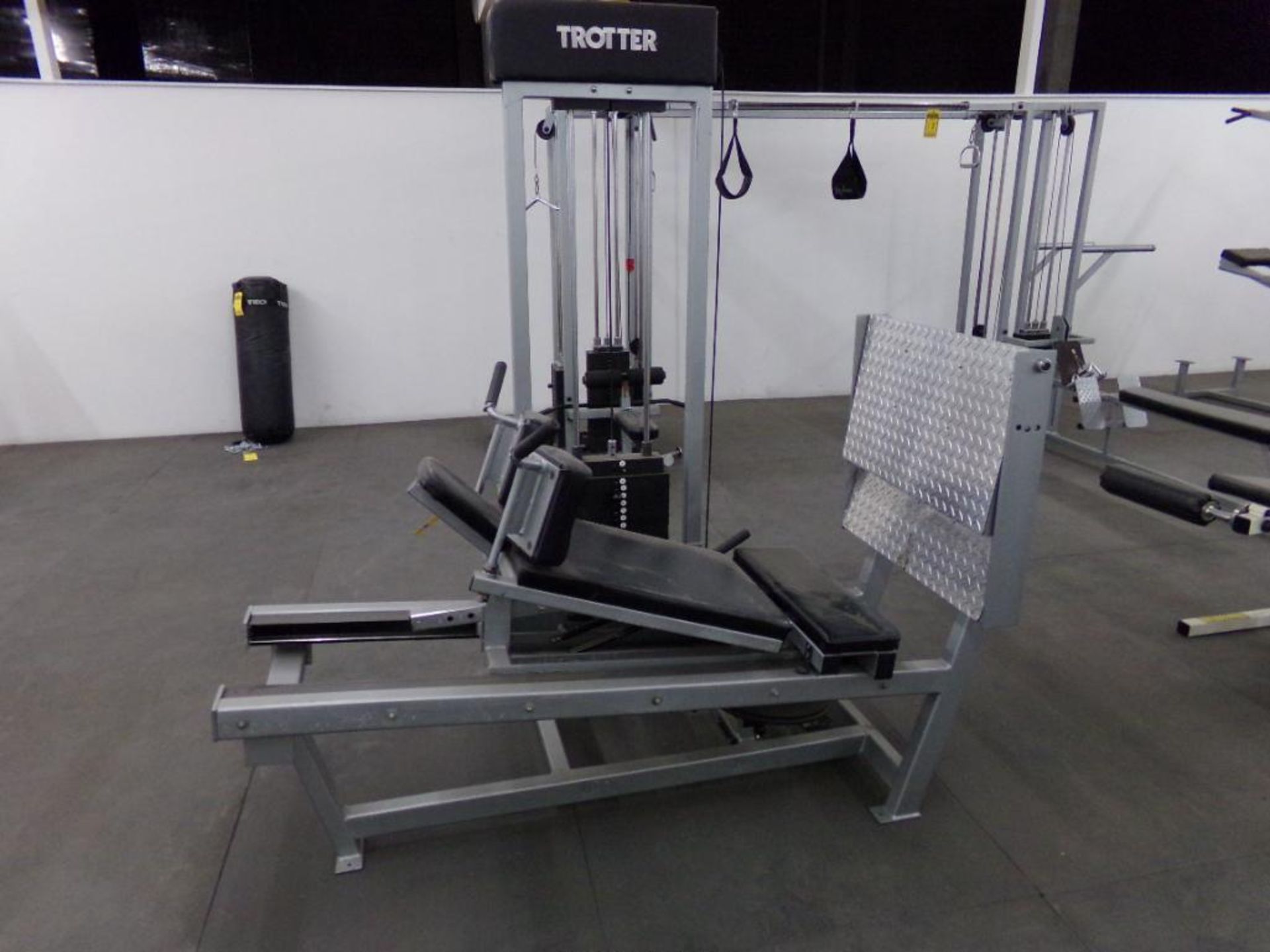 TROTTER HIP & LEG SLED