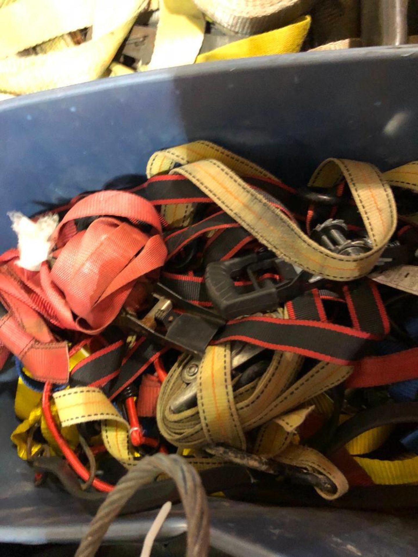 ASSORTED STRAPS AND TIE DOWNS - Image 2 of 3