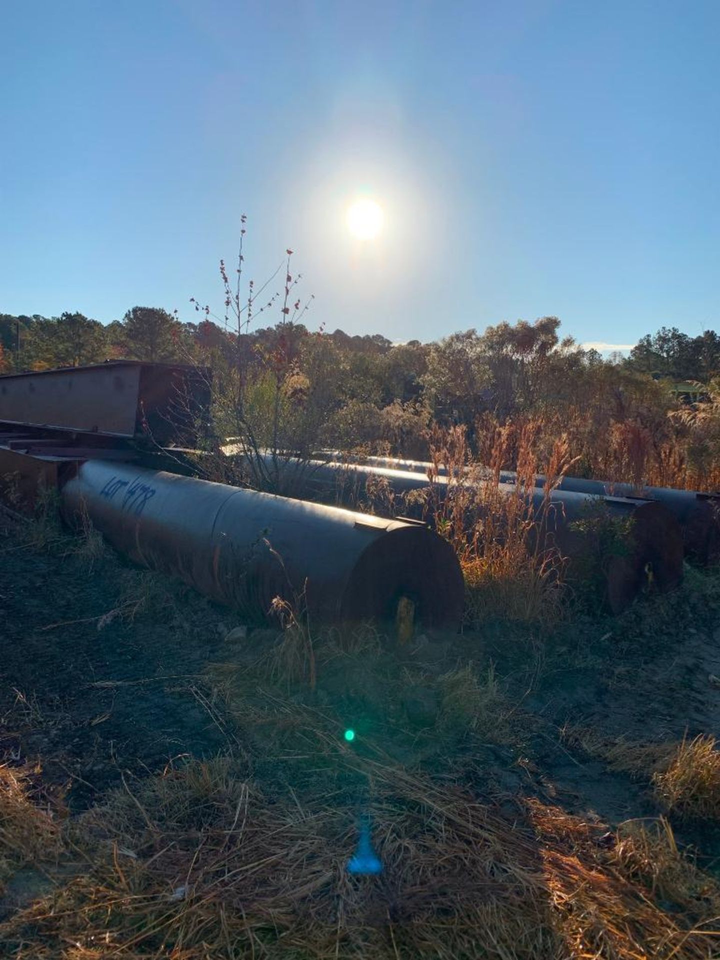 (4) WATER LEVEL MARKED PILINGS - Image 2 of 3