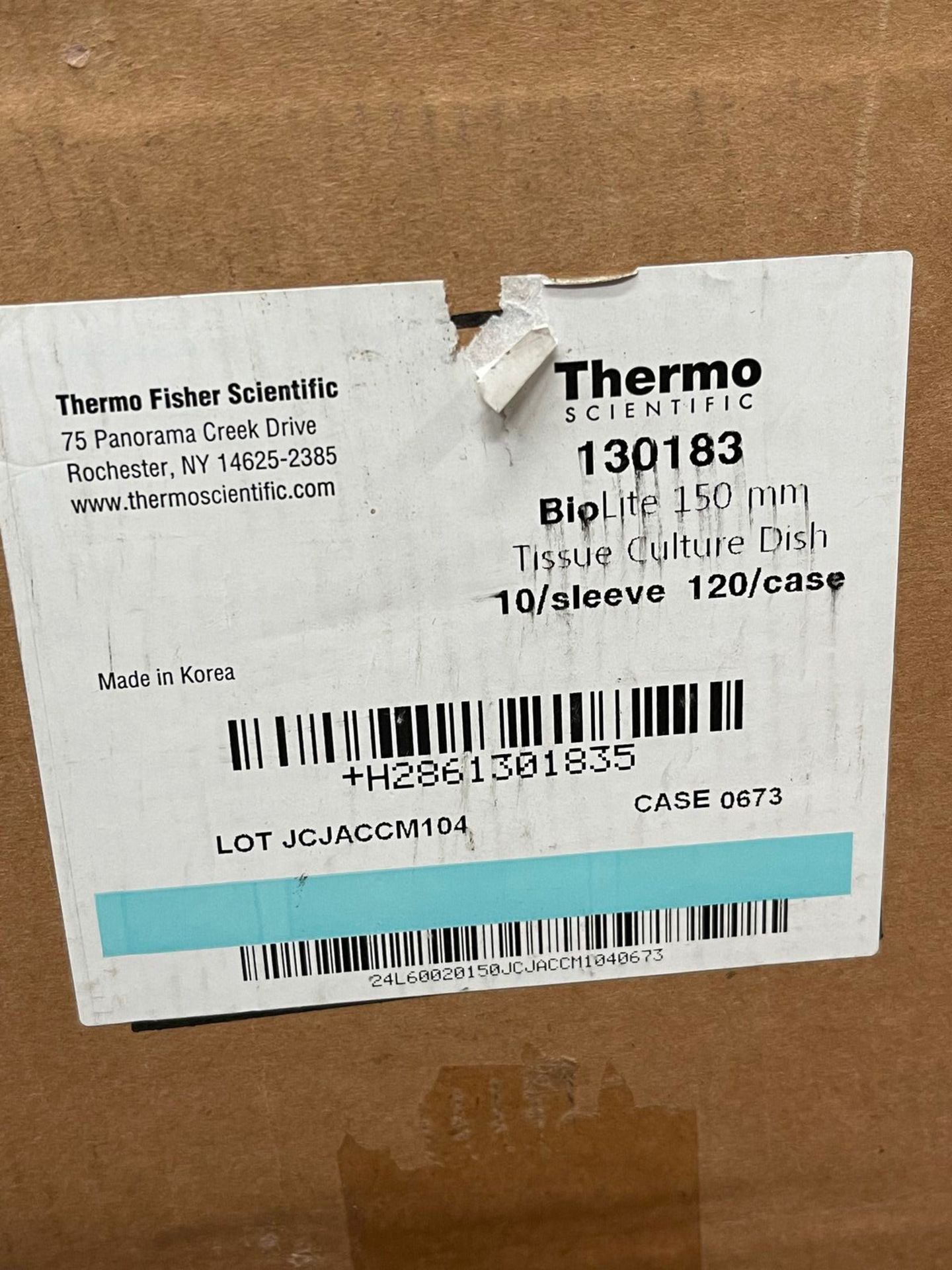 CASE OF THERMO SCIENTIFIC BIOLITE 150MM TISSUE CULTURE DISHES | Rig Fee: 10 - Image 2 of 2