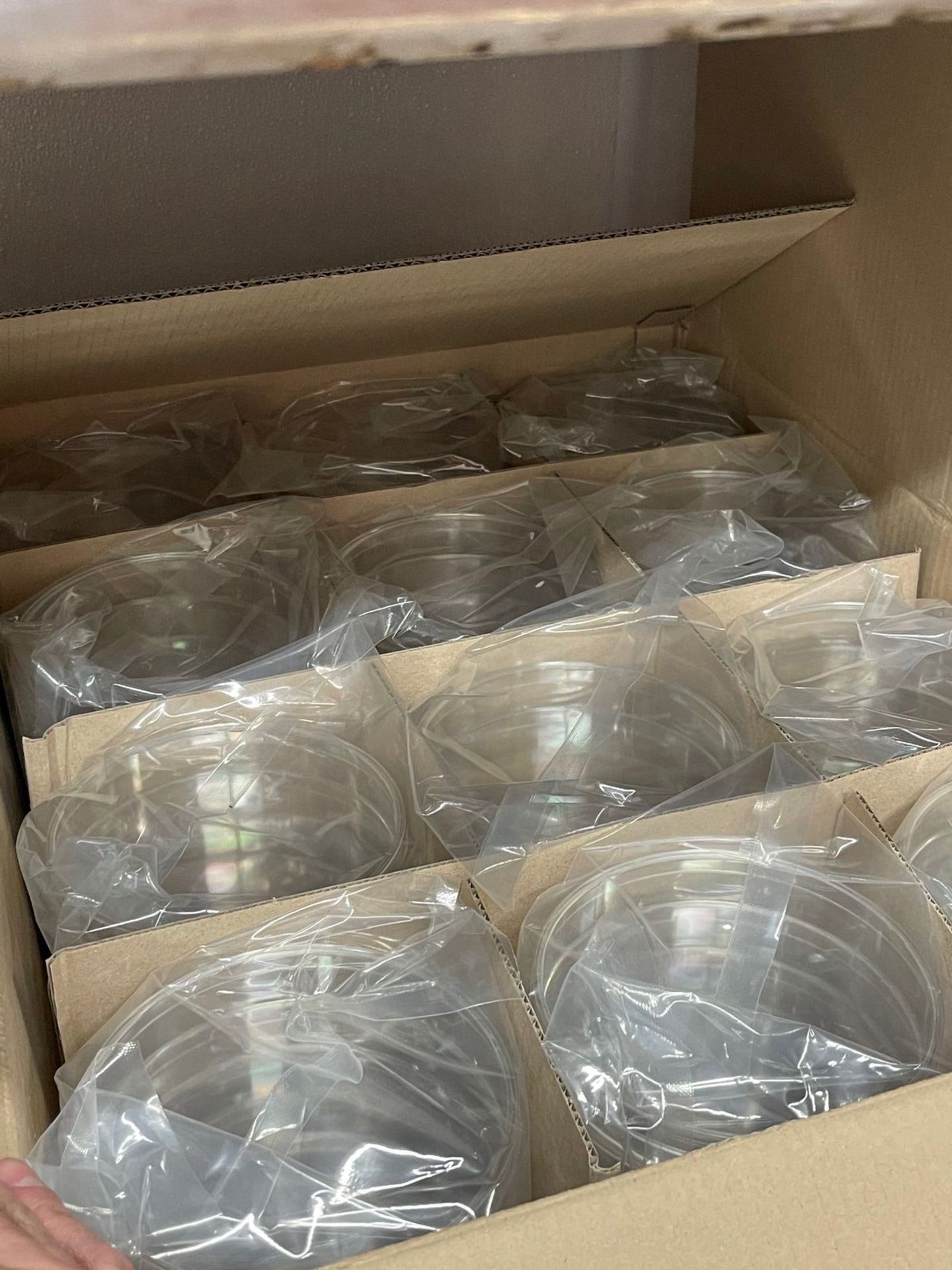 CASE OF THERMO SCIENTIFIC BIOLITE 150MM TISSUE CULTURE DISHES | Rig Fee: 10