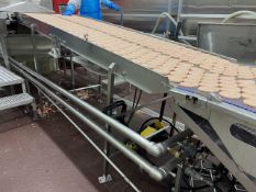 Stainless Steel Frame Incline Patty Feed Conveyor | Rig Fee: $250