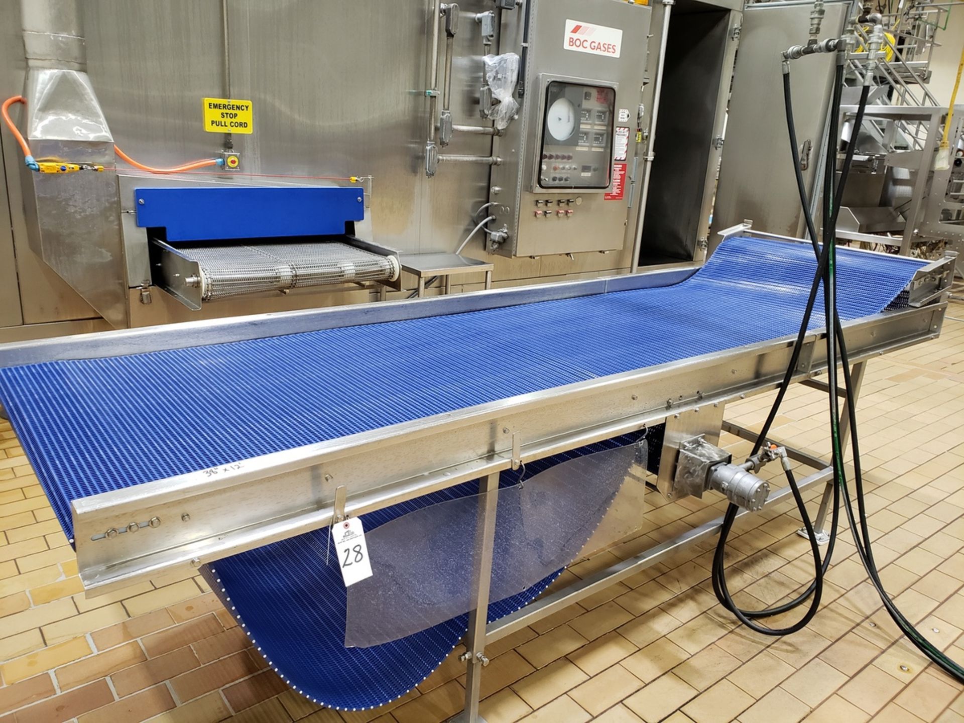 Transfer Conveyor Section, 38" X 12' - Subj to Bulk | Rig Fee: $150