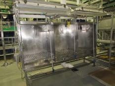 Lot Stainless Steel Inspection Table, 3-compartments, (2) Lights, 2' W X 10' L X 8' | Rig Fee: $75
