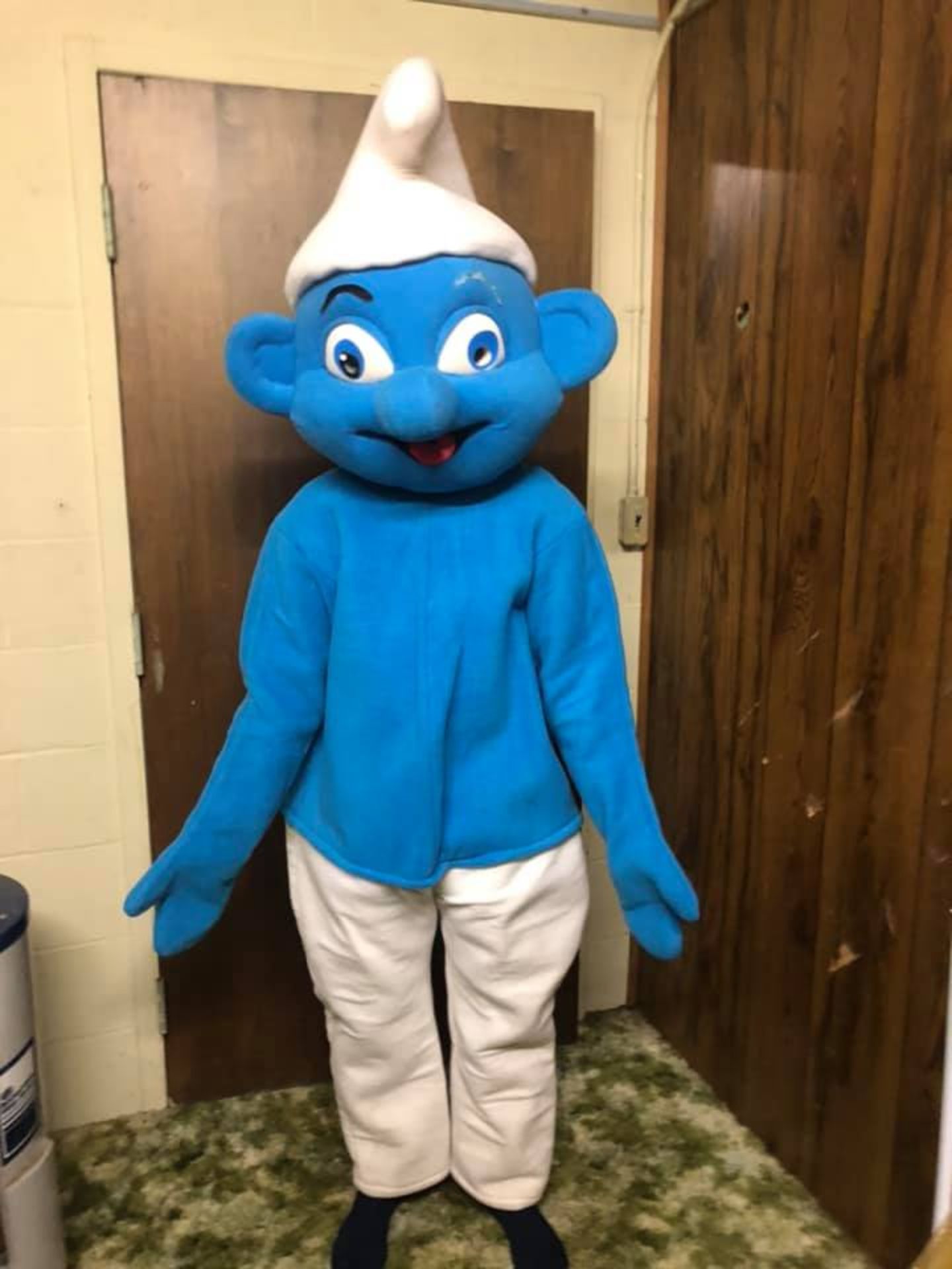 Costume Character Smurf