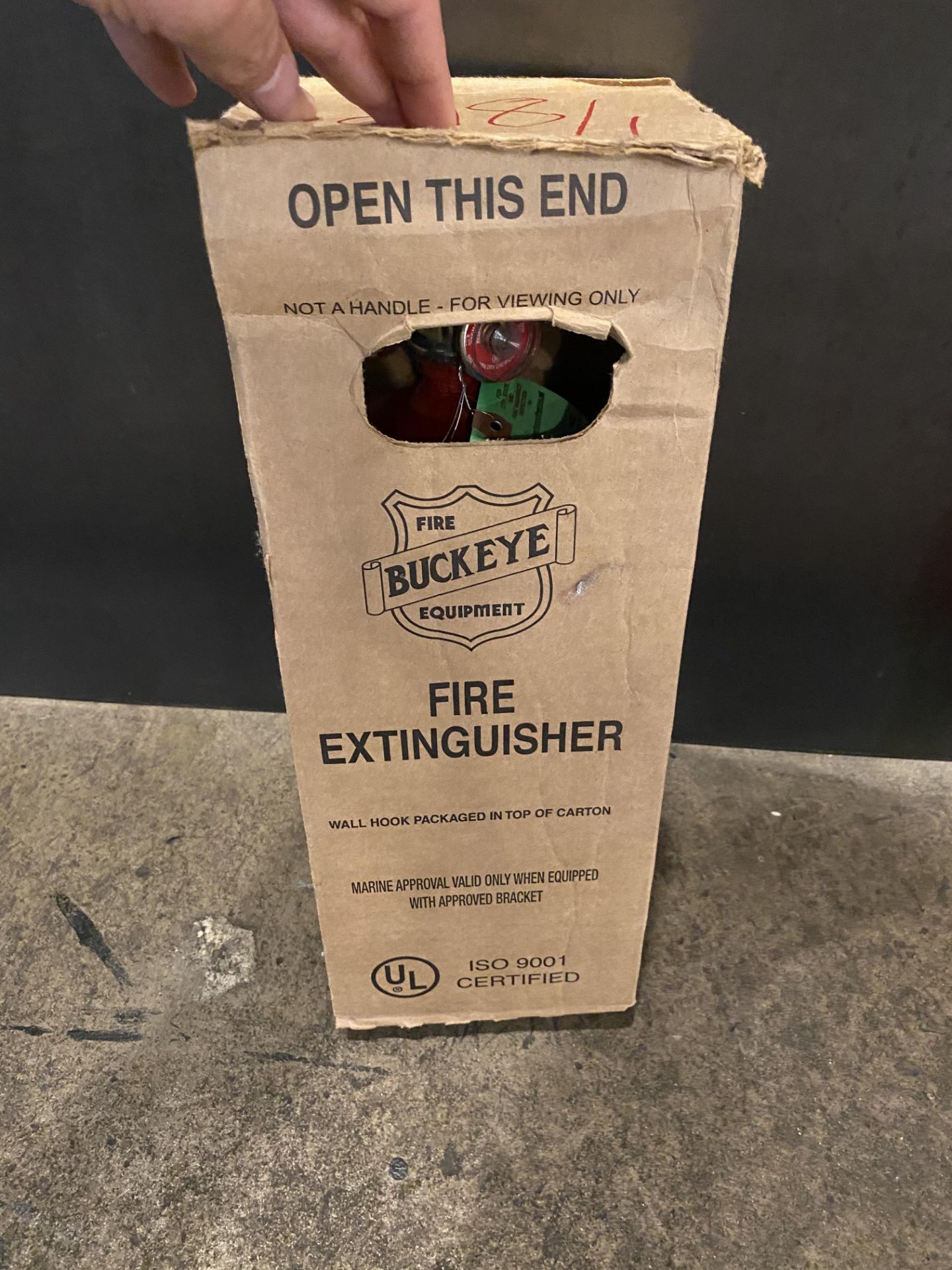 Fire Buckeye Fire Extinguisher In Box