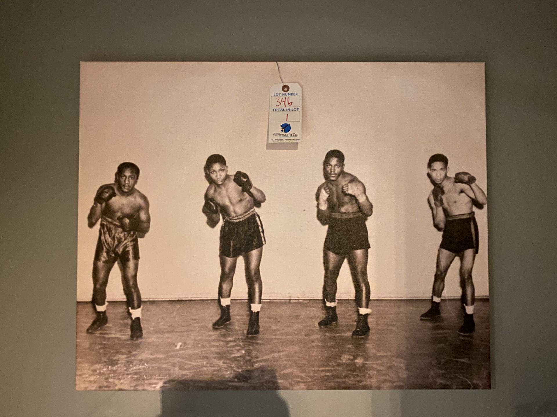 Custom Photograph on Canvas of Philadelphia Boxers 30" x 24"