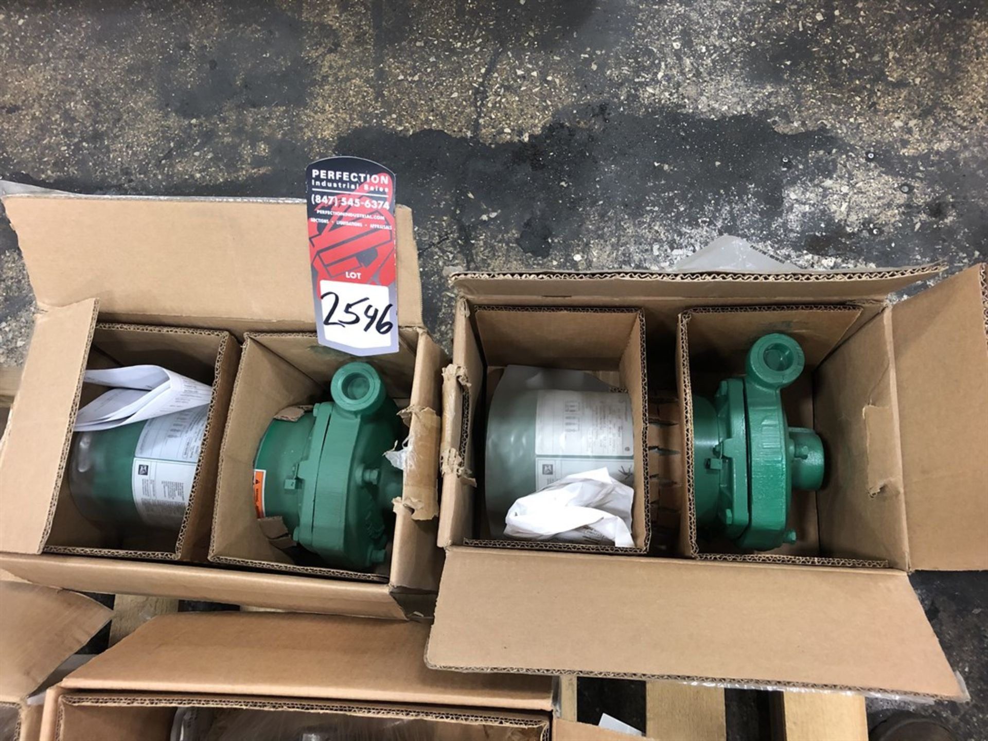 Lot Comprising (2) Pentair 60 Cycle CT Series Centrifugal Pumps, (17Q)