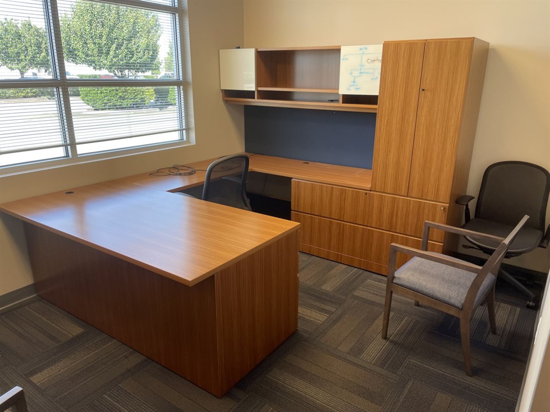 Contents of Office Including Desk, Chairs and Cabinets