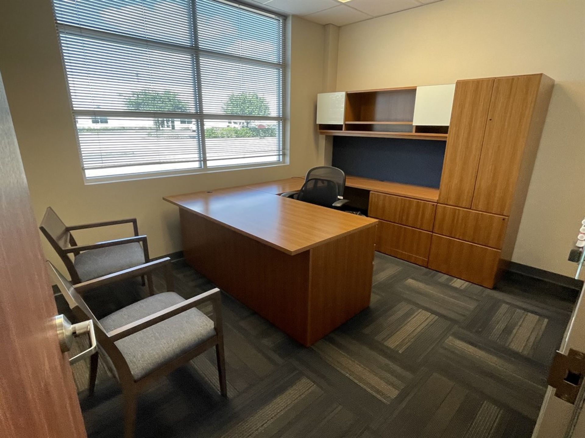 Contents of Office Including Desk, Chairs and Cabinets