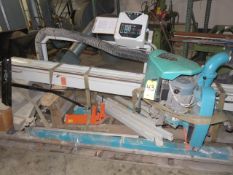 2002 HOLZHER 1230 AUTOMATIC VERTICAL PANEL SAW, S/N 384-0-208, CONTROLLER