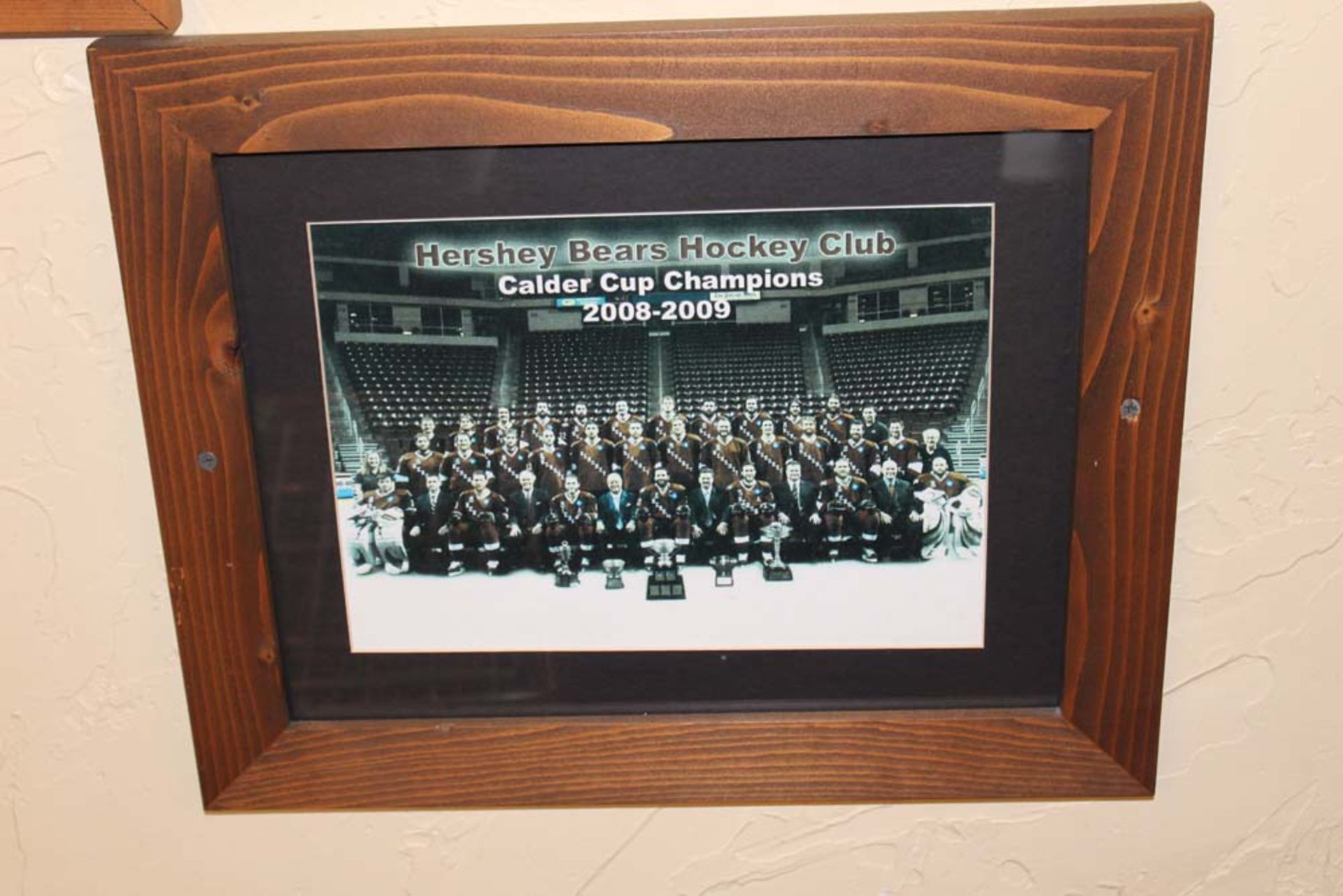 Memorabilia: 1937 Pennant, Hershey Bears Photo, Let's Go Bears Towel, 2008-2009 Team Photo, 2009- - Bild 6 aus 11