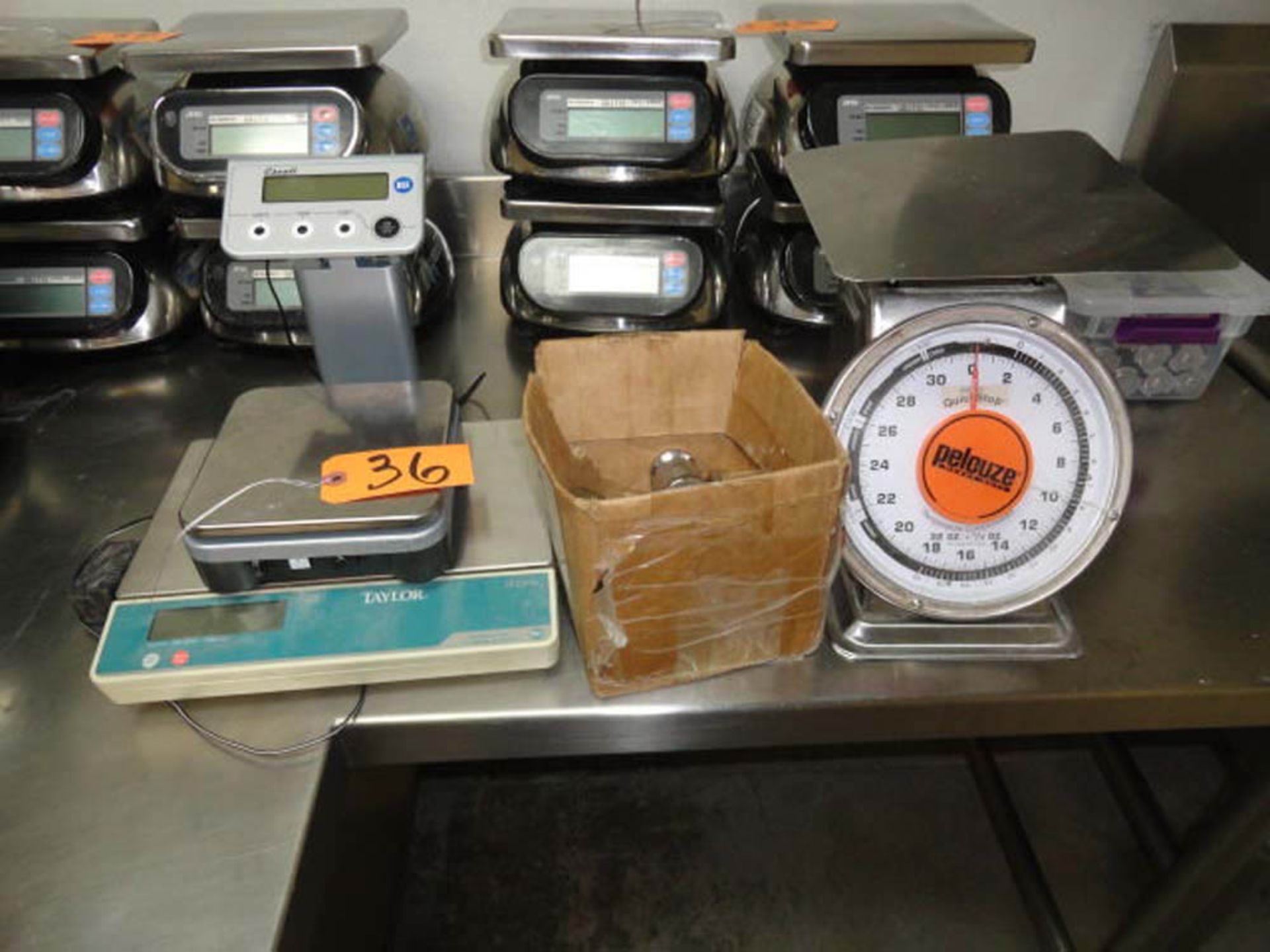 ESCALI DIGITAL SCALE, TALYOR PELOUZ SCALE & TEST WEIGHTS - Image 2 of 2