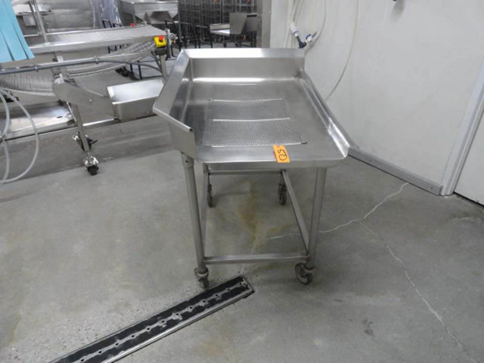 STAINLESS STEEL PERFERATED DRAIN TABLE 3' X 43"