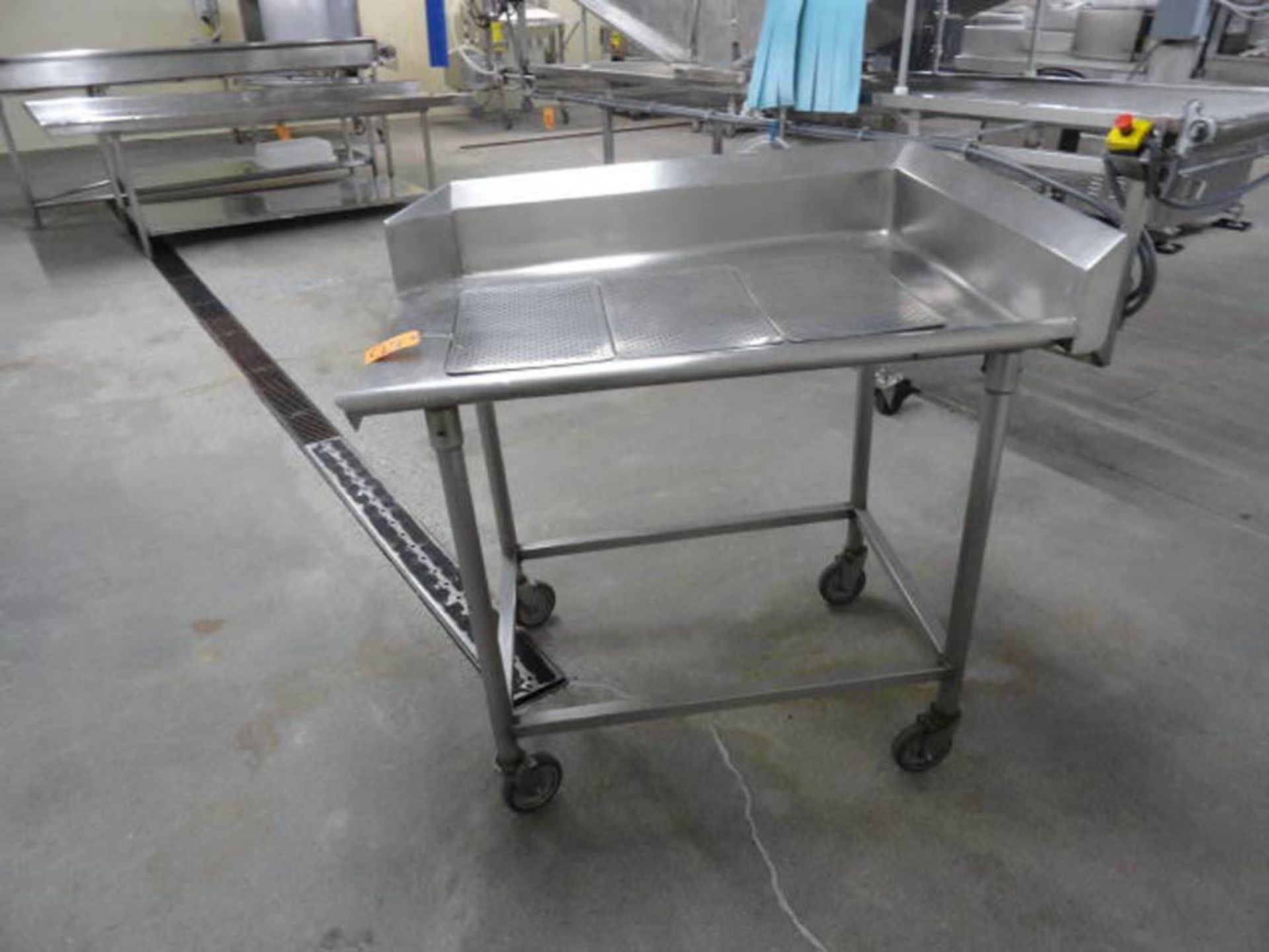 STAINLESS STEEL PERFERATED DRAIN TABLE 3' X 43" - Image 3 of 4