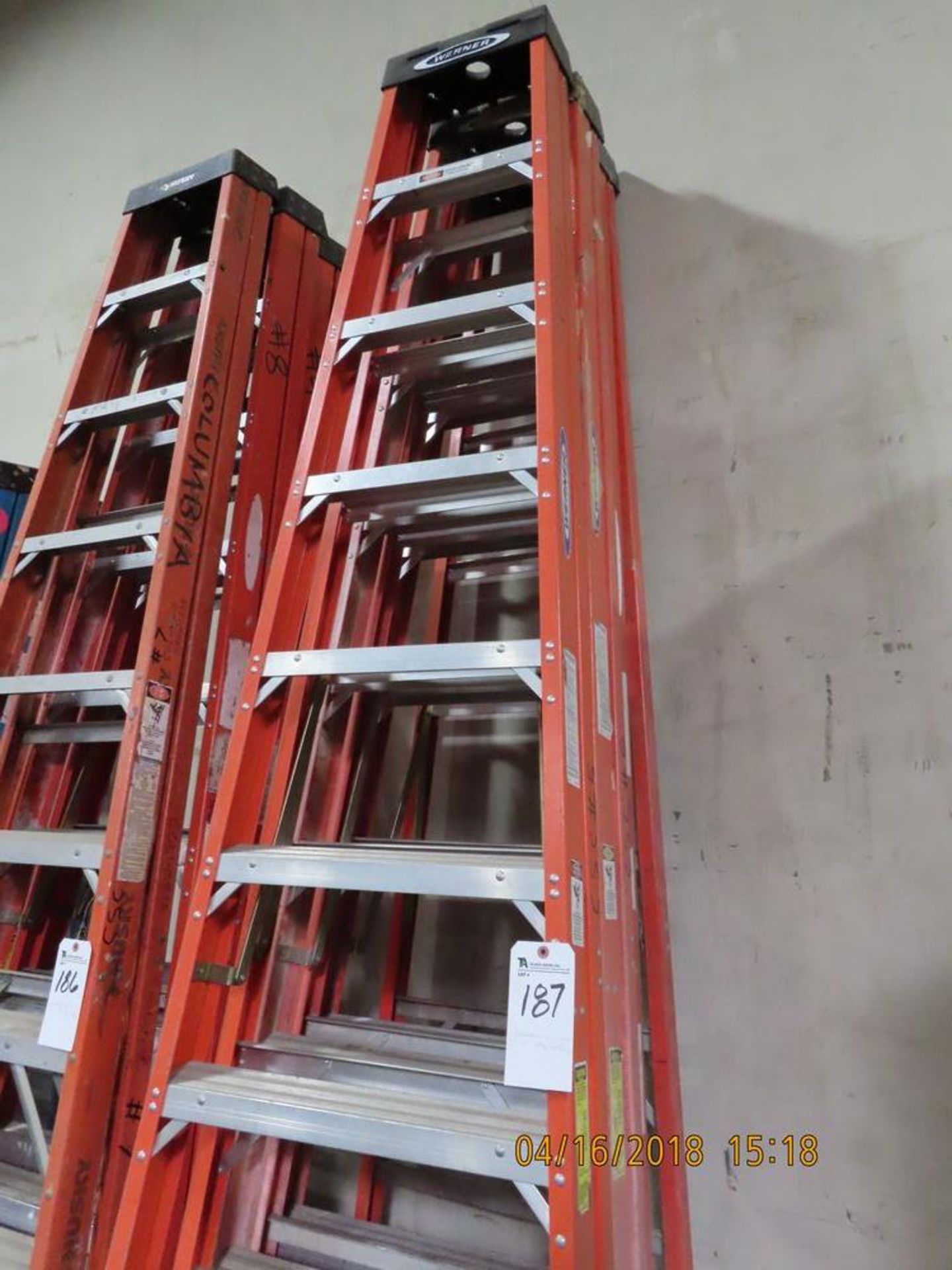 Werner 10' Step Ladders