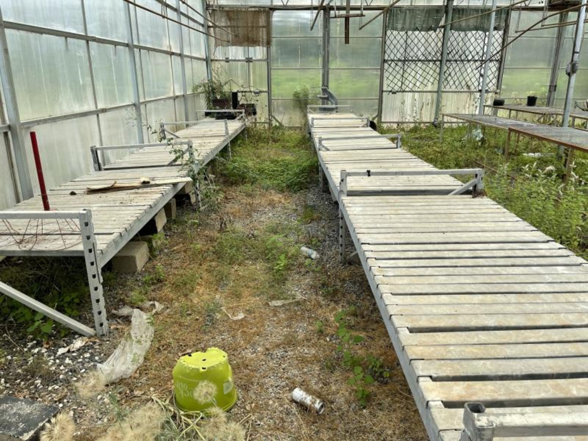 Plant shelving racks, approx 24 - Image 3 of 4