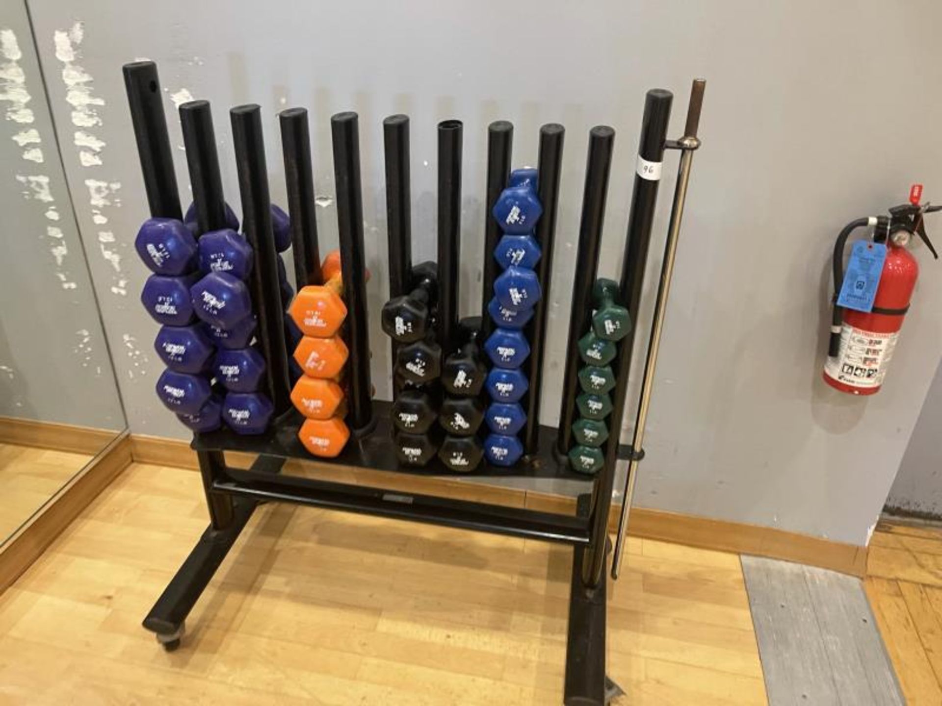 Power Better Dumbbells with Rack