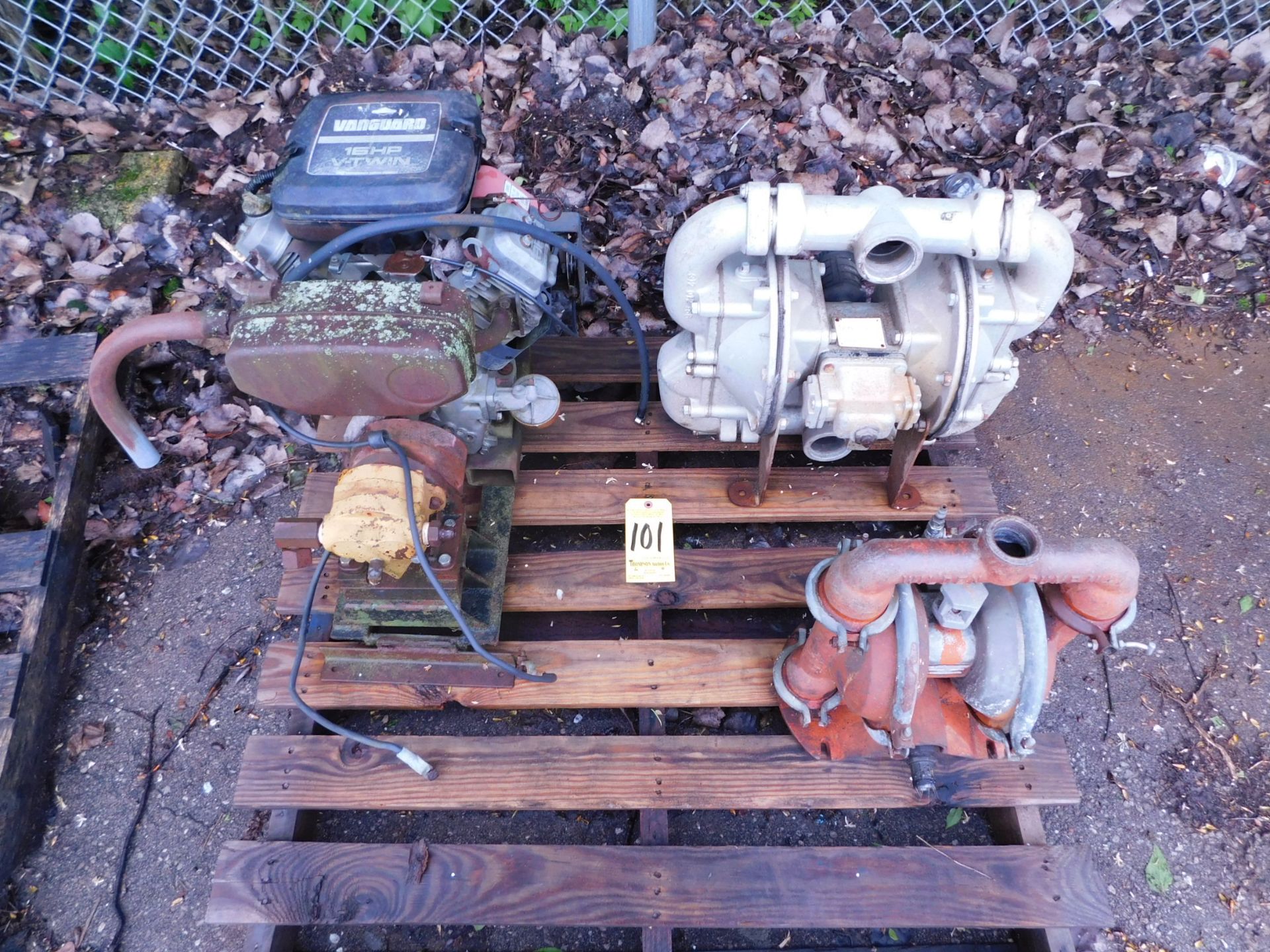 Diaphragm Pumps & Engine