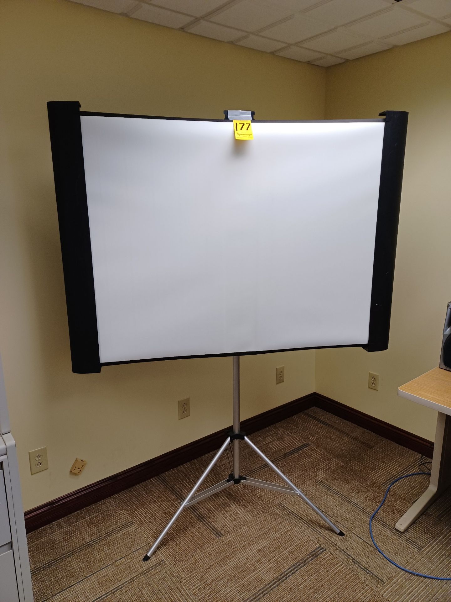 Accolade Duet Projector Screen, Model ELP SC80