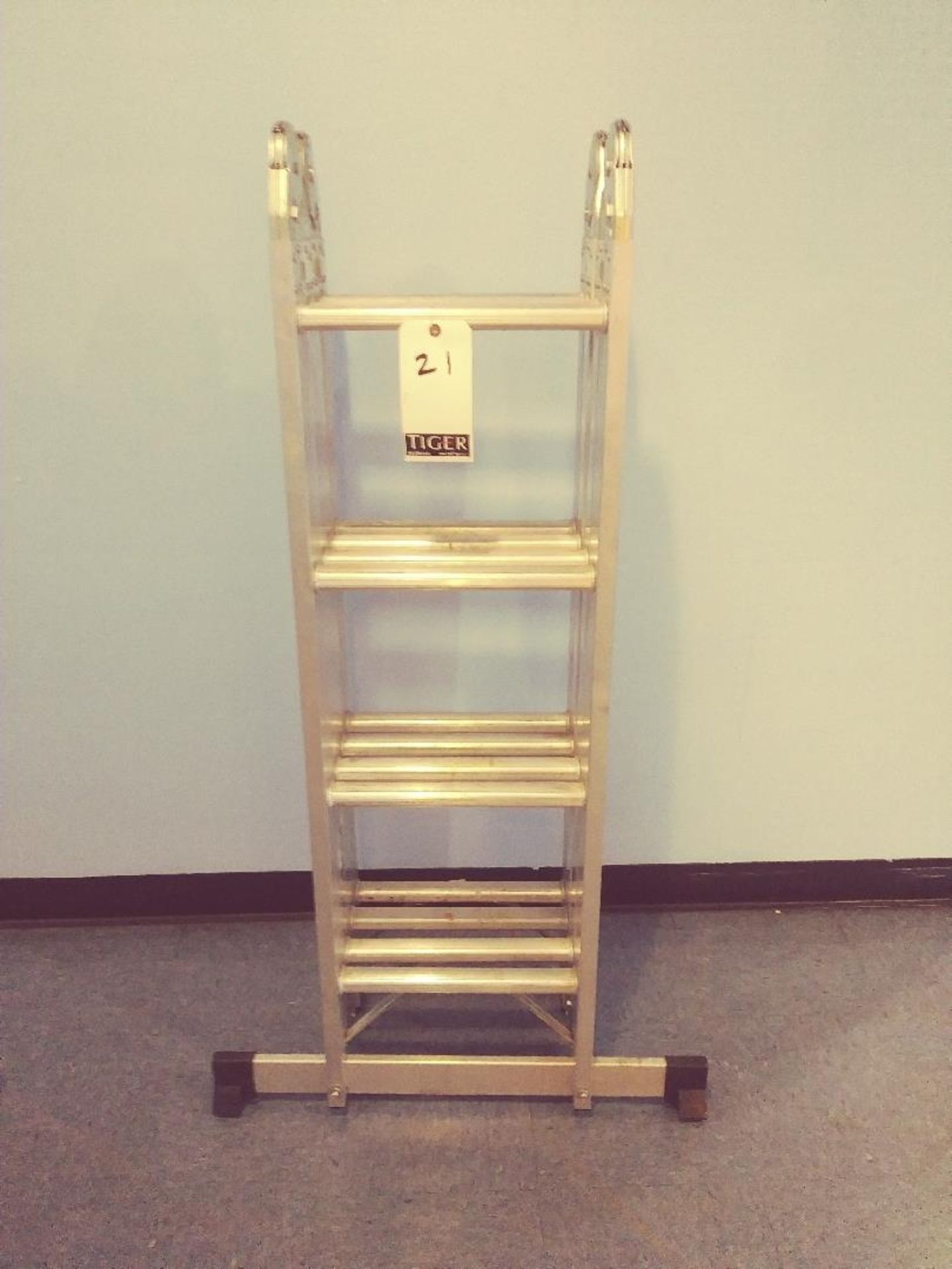 Aluminum Multi-Position Ladder