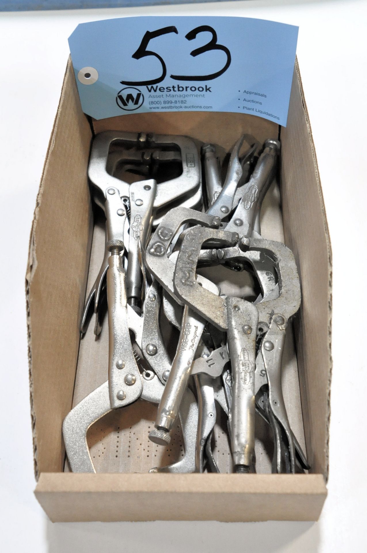 Lot-Vise Grip Welding Clamps in (1) Box