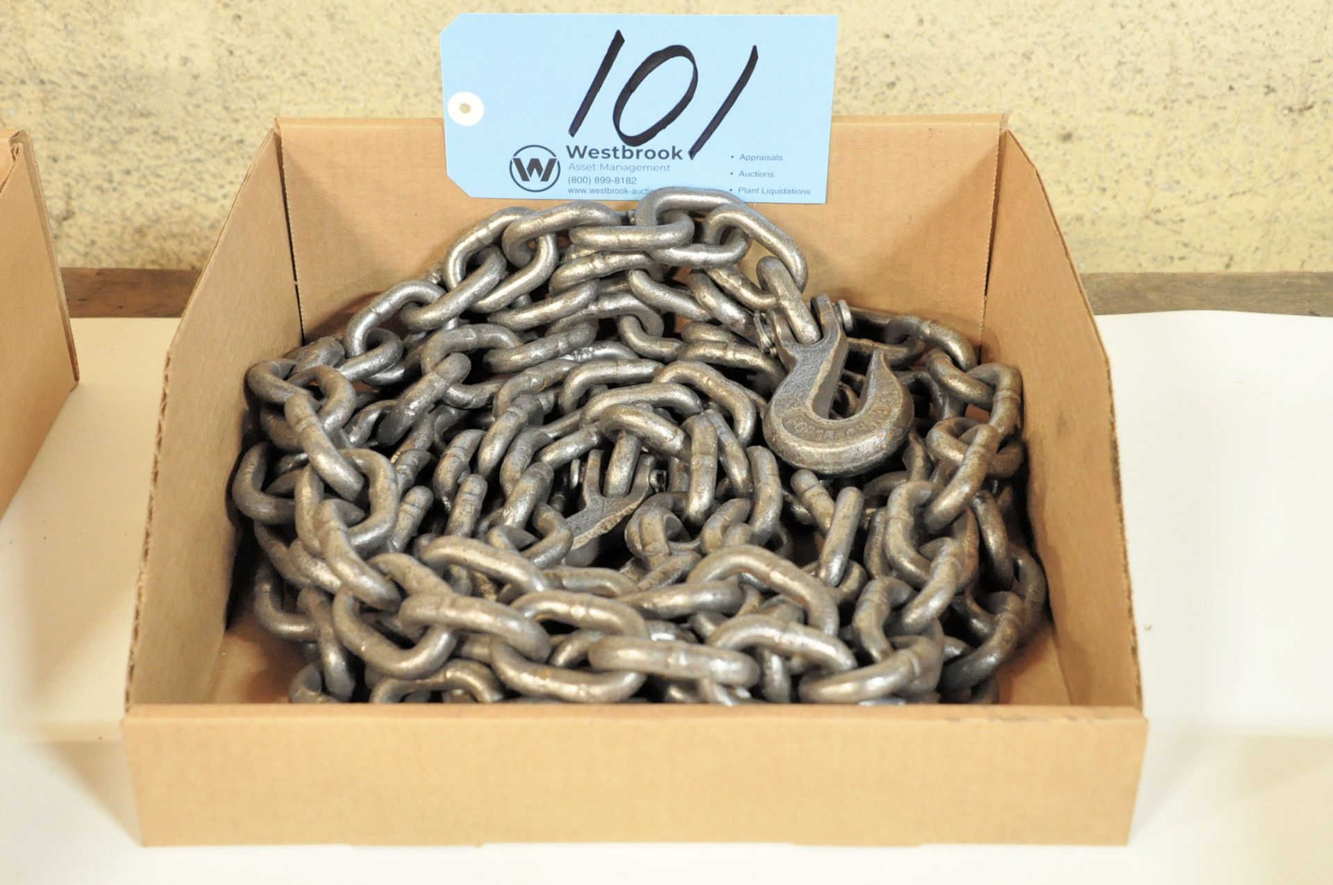 Single Hook Binder Chain in (1) Box