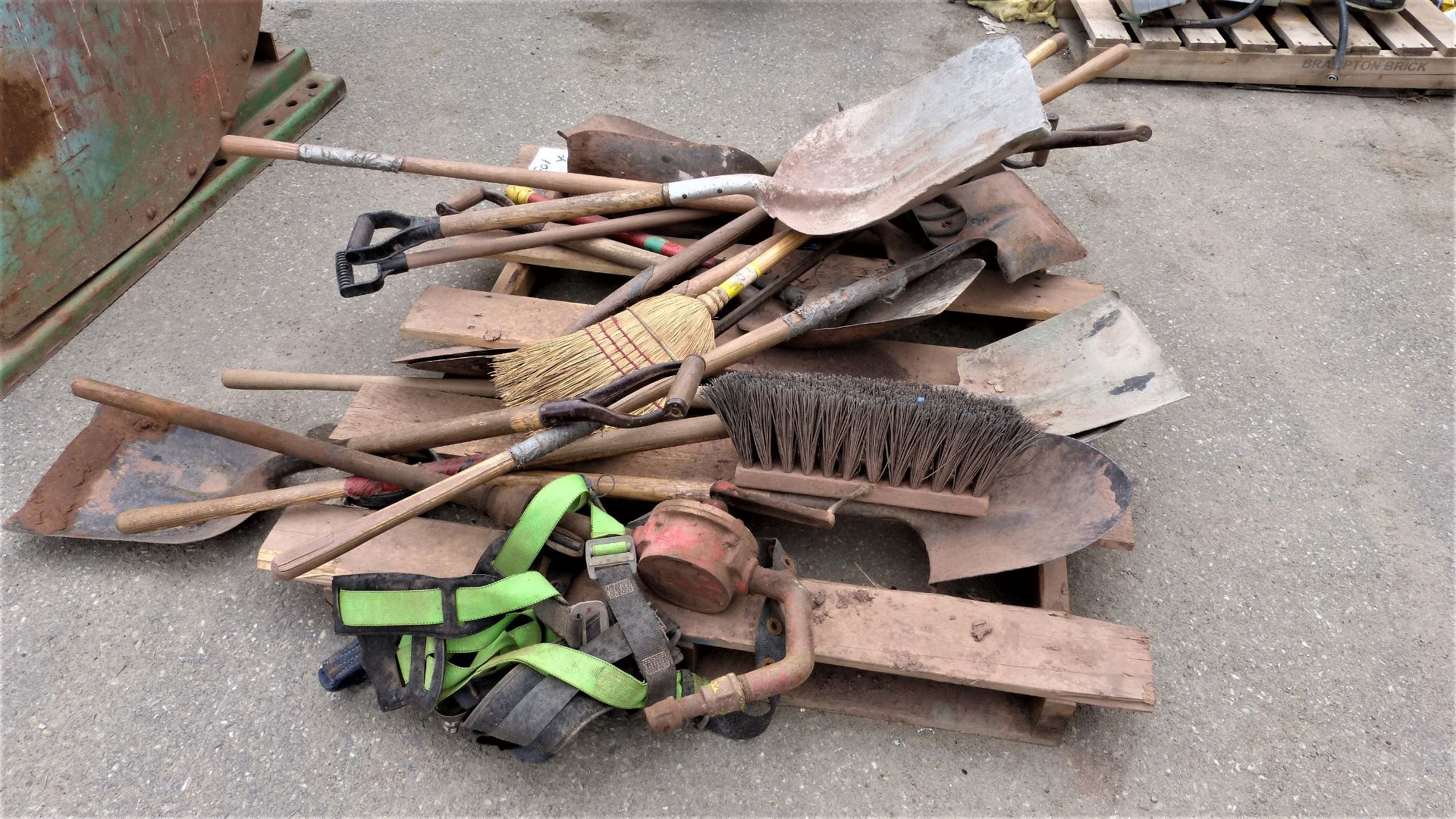 SKID SHOVELS AND BROOMS - Image 2 of 2