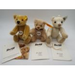 Steiff - three Steiff bears comprising 040047 Classic Teddy,