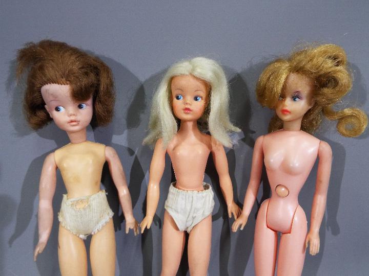 Sindy Dolls - A group of 3 x vintage dolls including 2 x Sindy's. - Image 2 of 3
