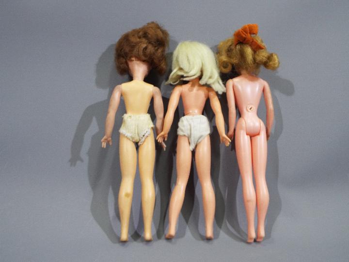 Sindy Dolls - A group of 3 x vintage dolls including 2 x Sindy's. - Image 3 of 3